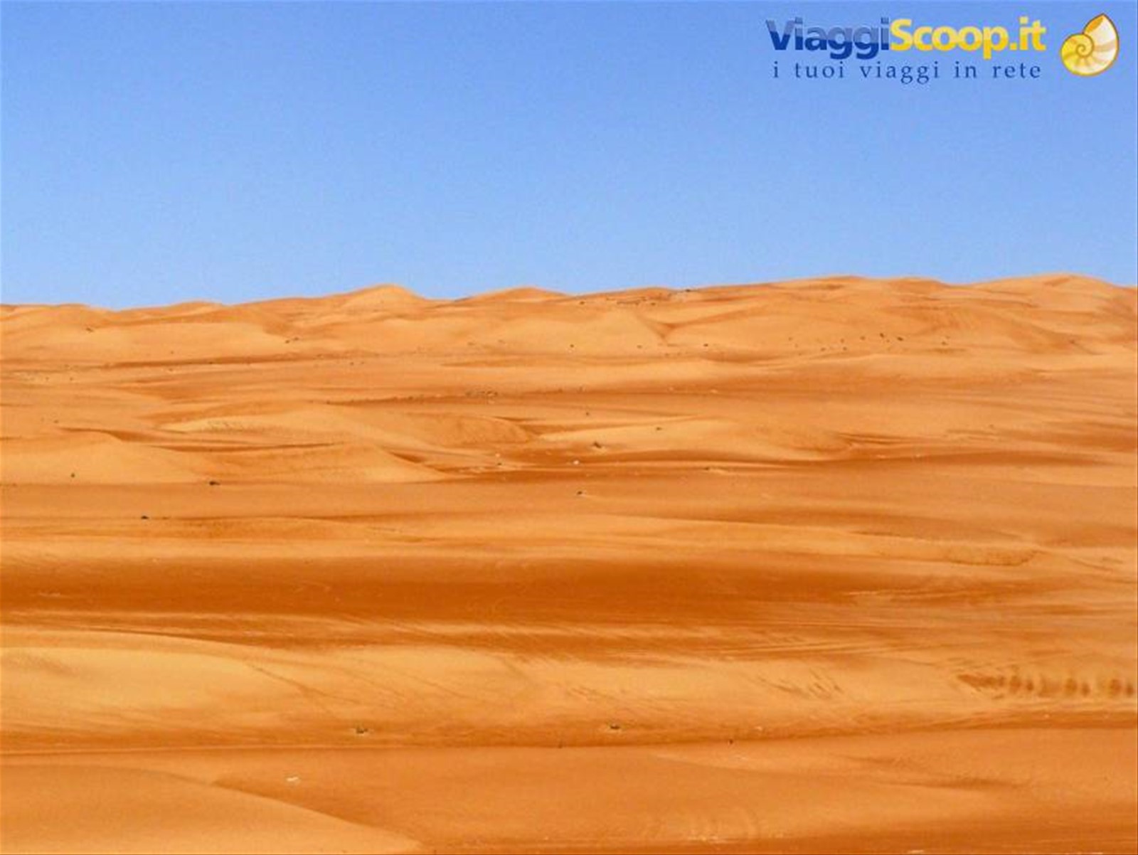 wahiba sands