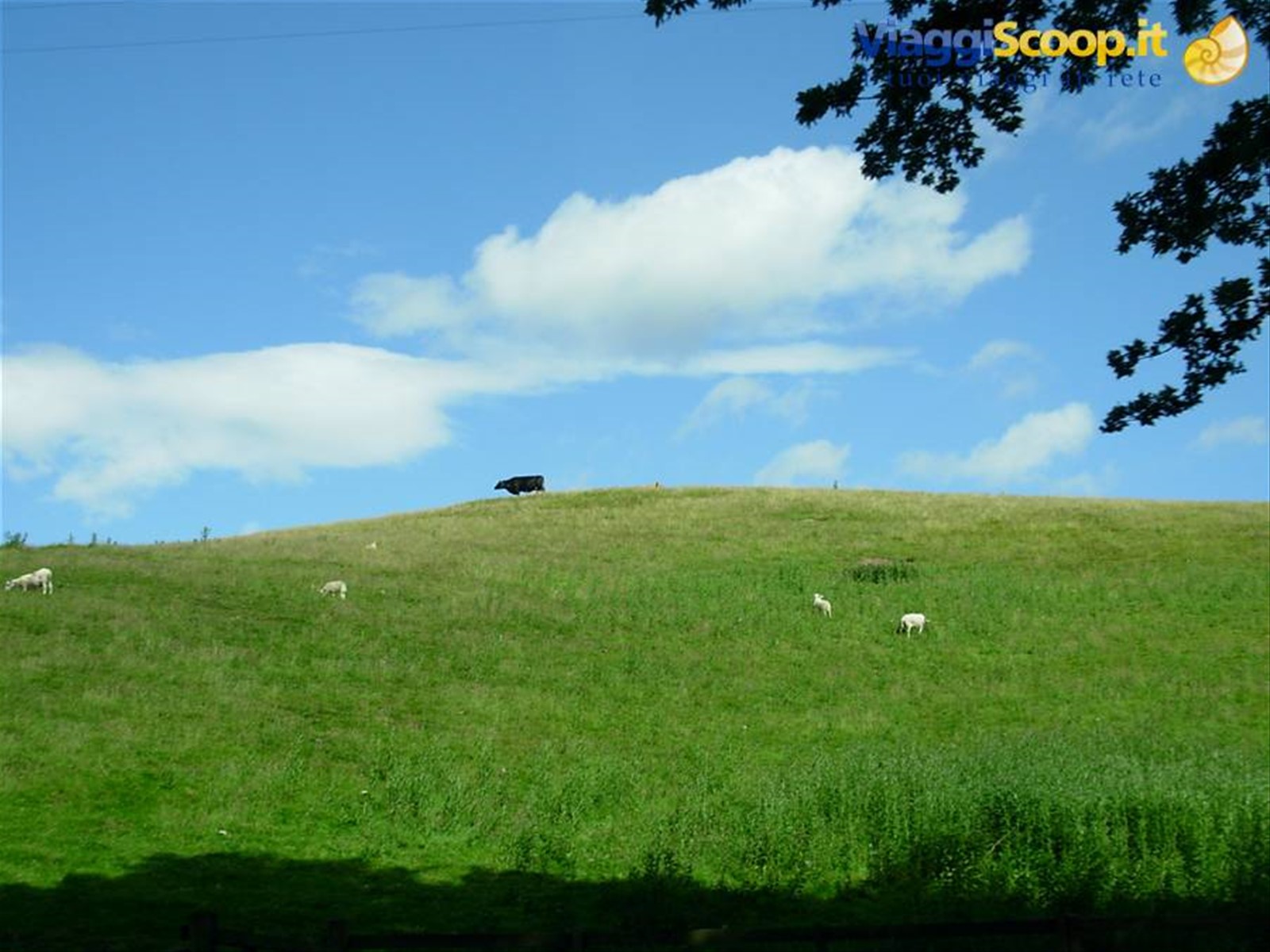 Highlands