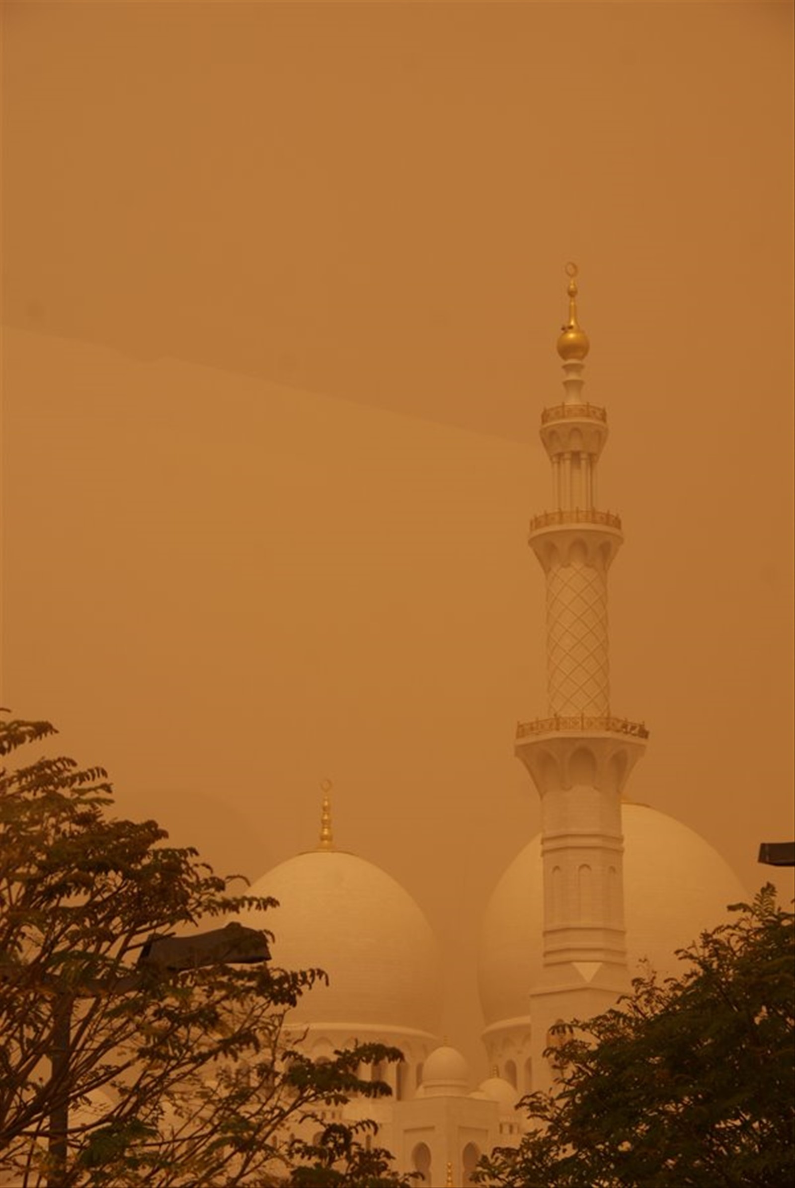 Foto di viaggio in EMIRATI ARABI UNITI