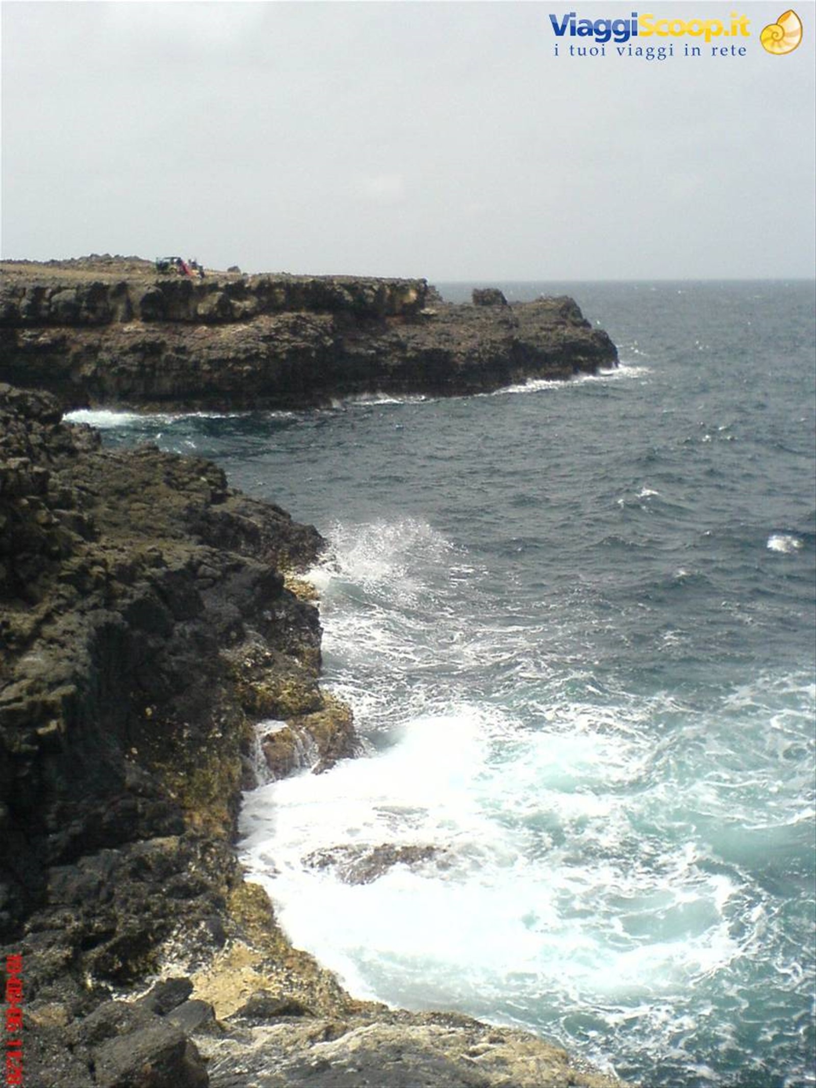 scogliere