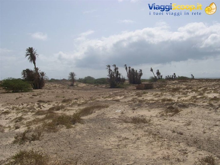 il deserto