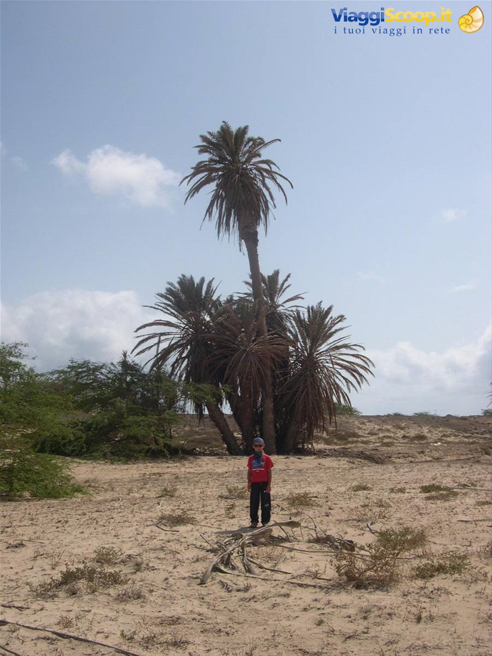 il deserto