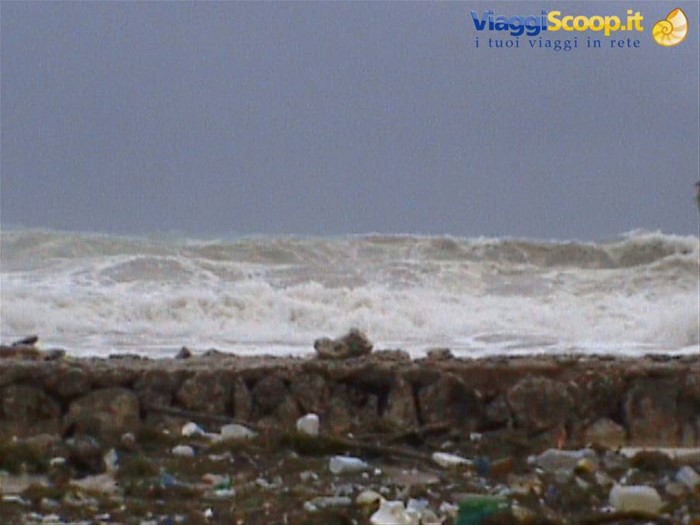 tempesta tropicale