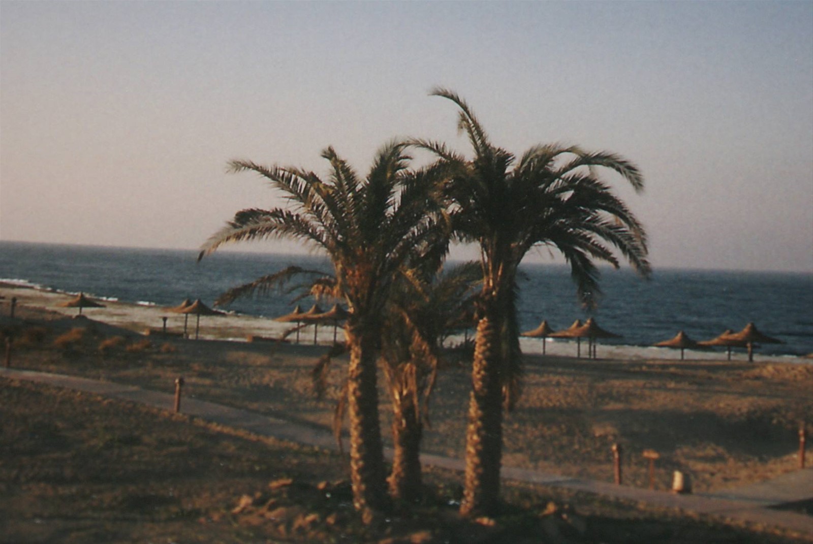 la spiaggia