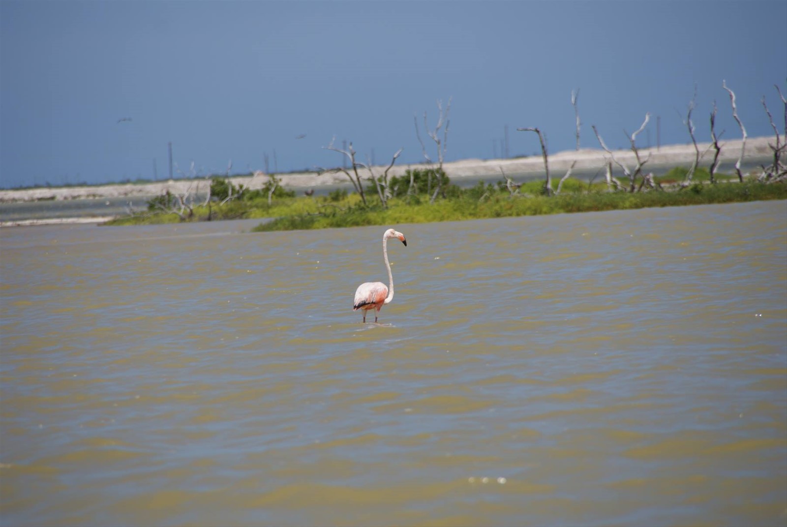 Foto di viaggio in MESSICO