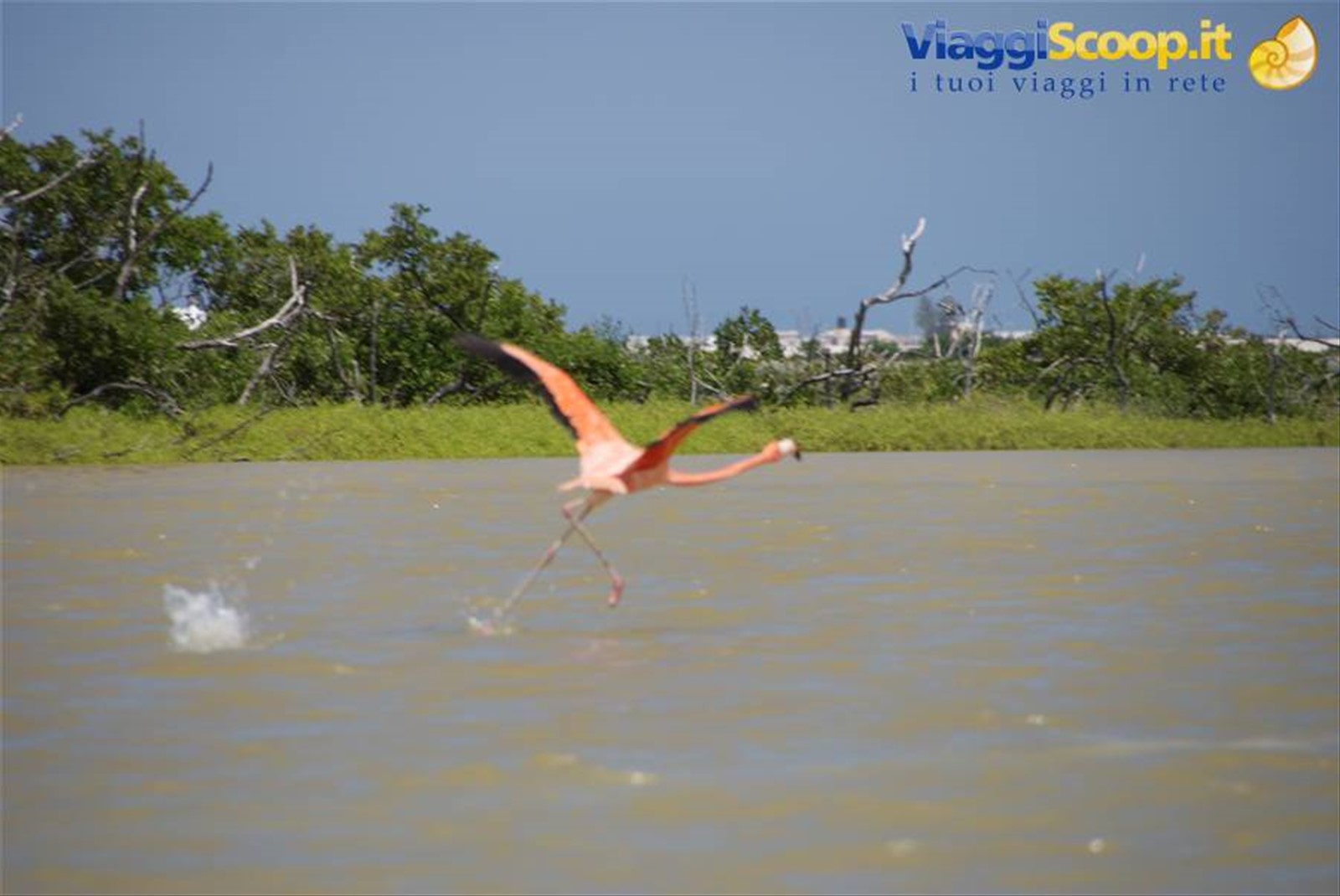Foto di viaggio in MESSICO
