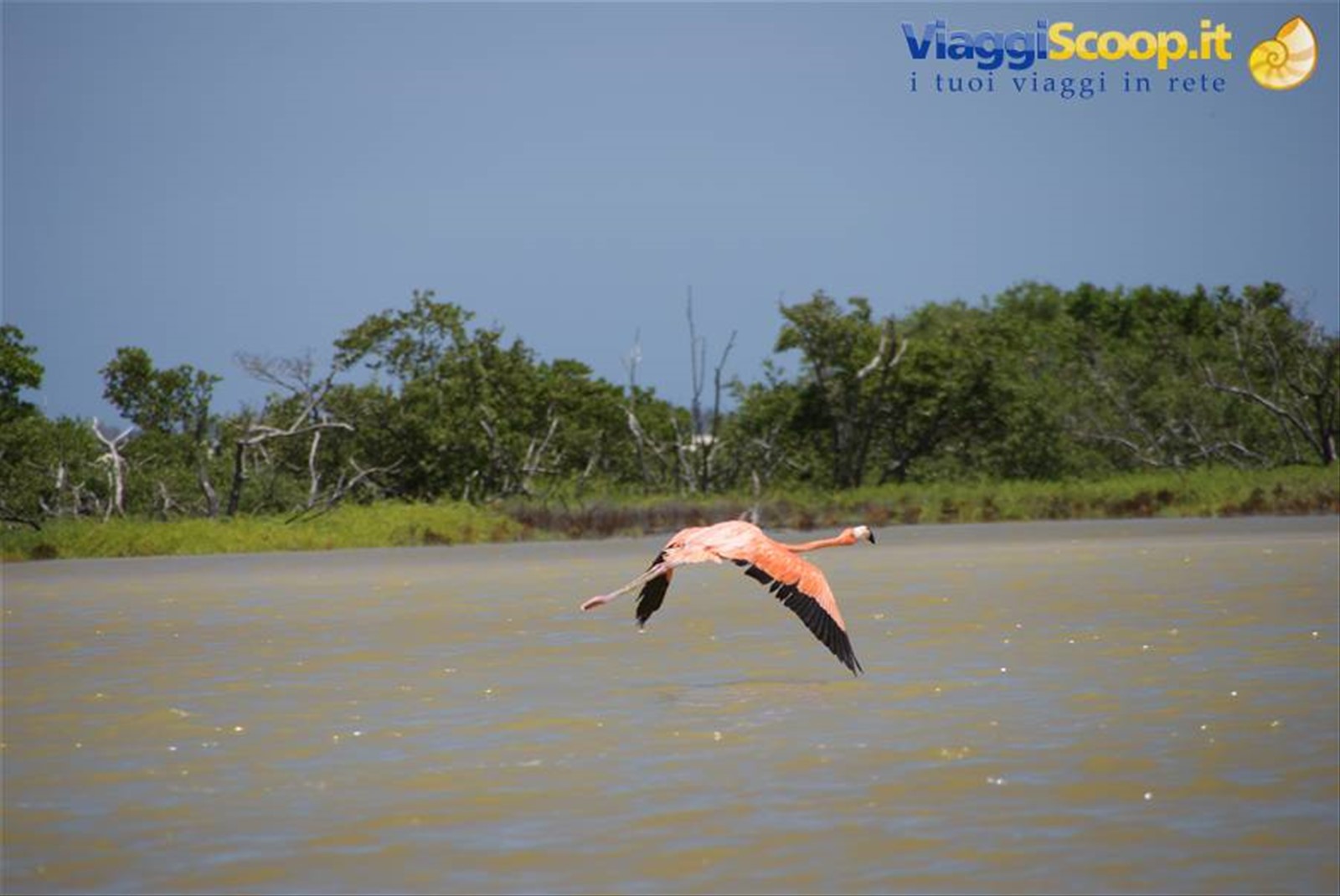 Foto di viaggio in MESSICO