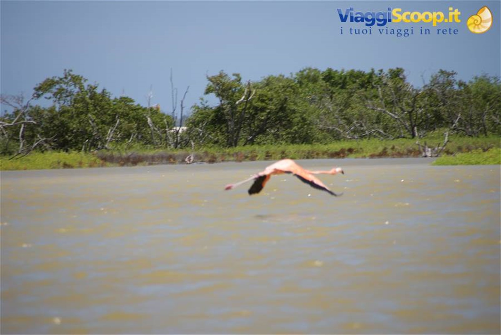 Foto di viaggio in MESSICO