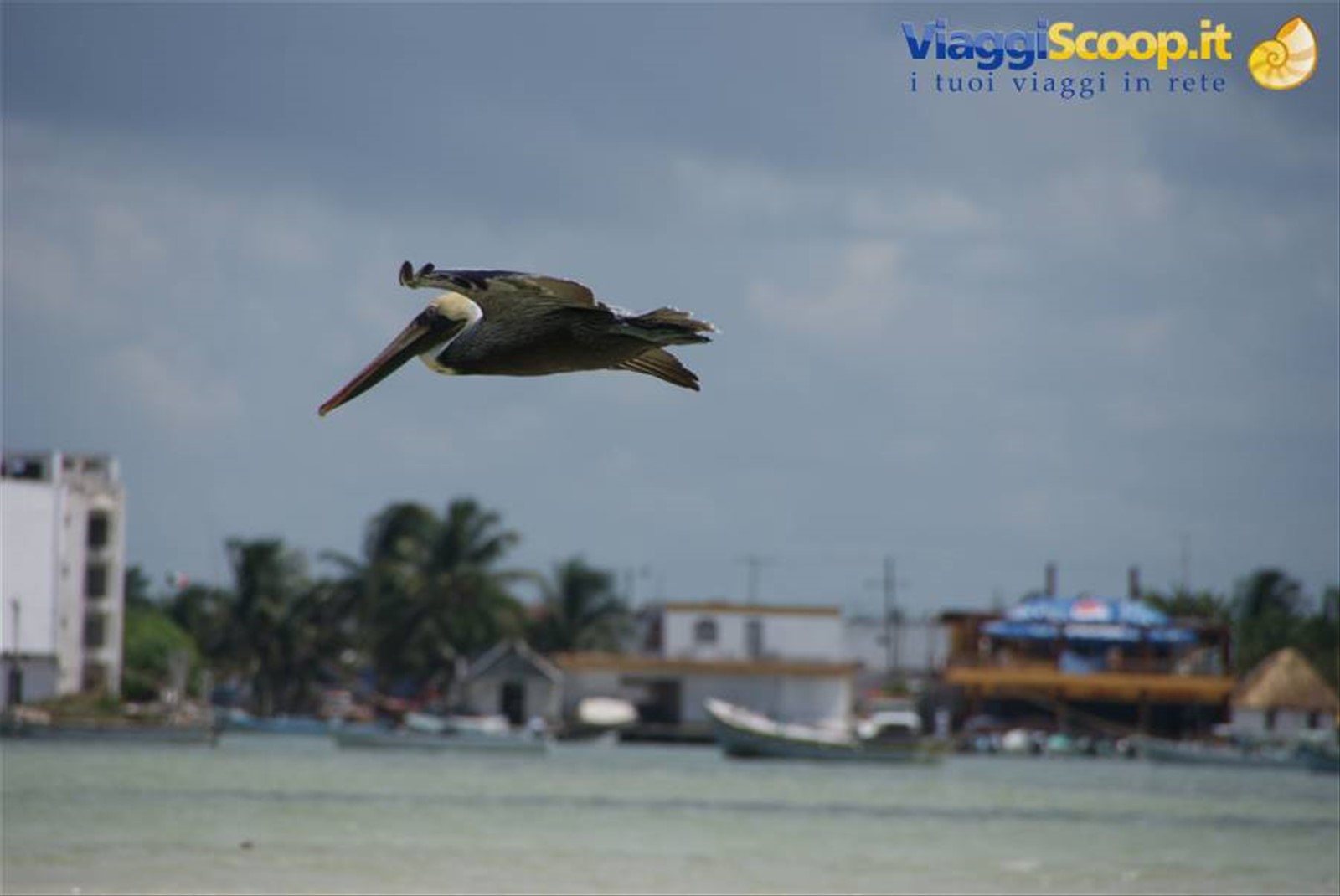 Foto di viaggio in MESSICO