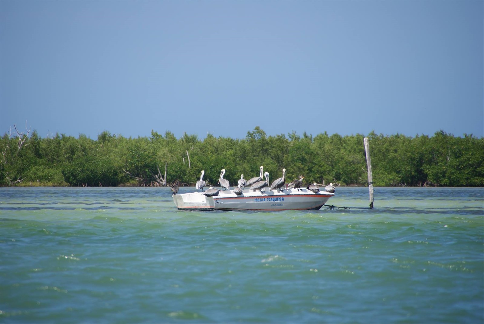 Foto di viaggio in MESSICO