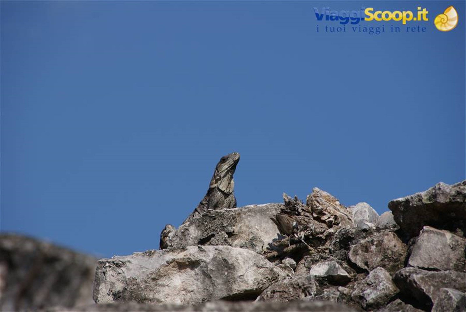 Foto di viaggio in MESSICO