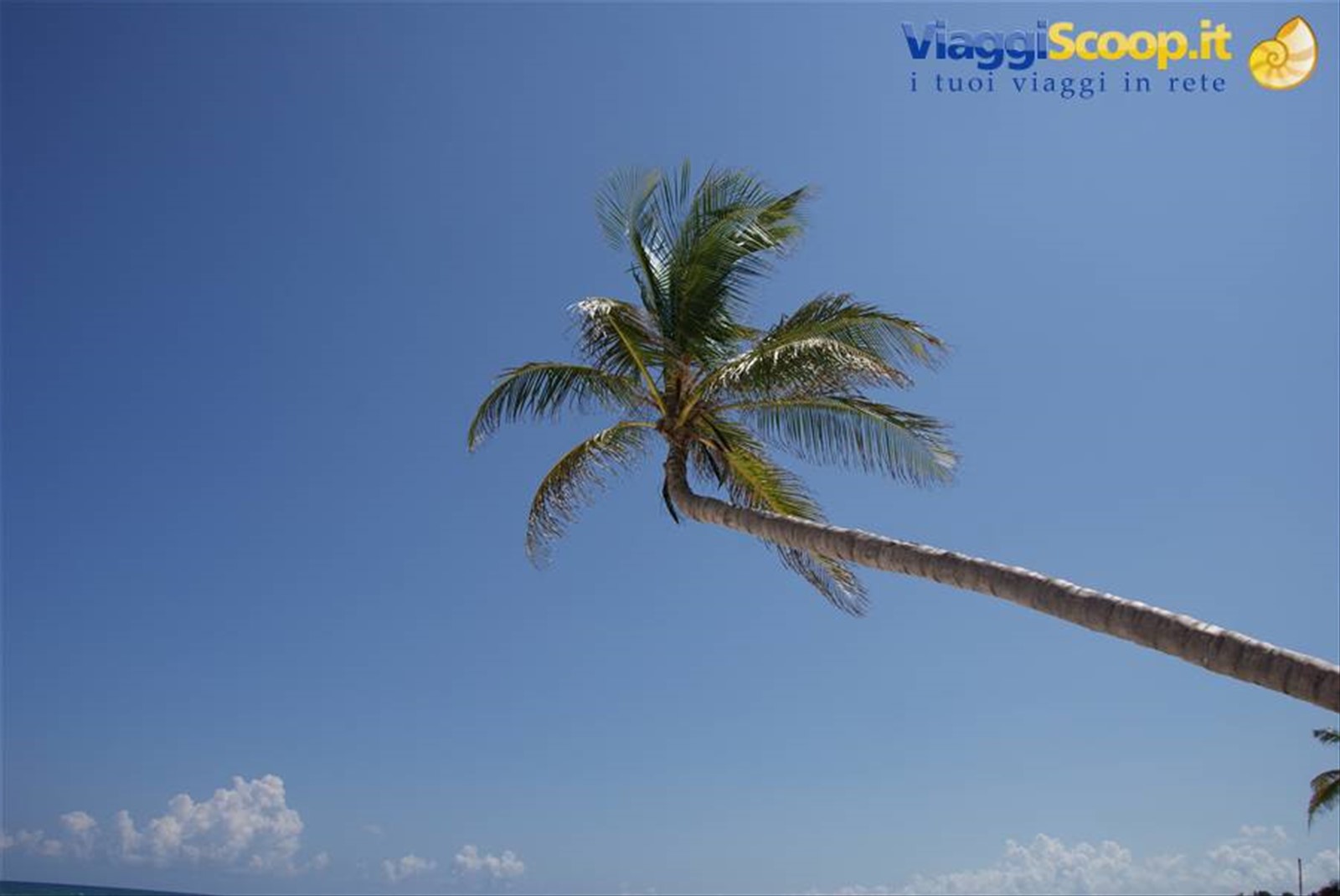 Foto di viaggio in MESSICO