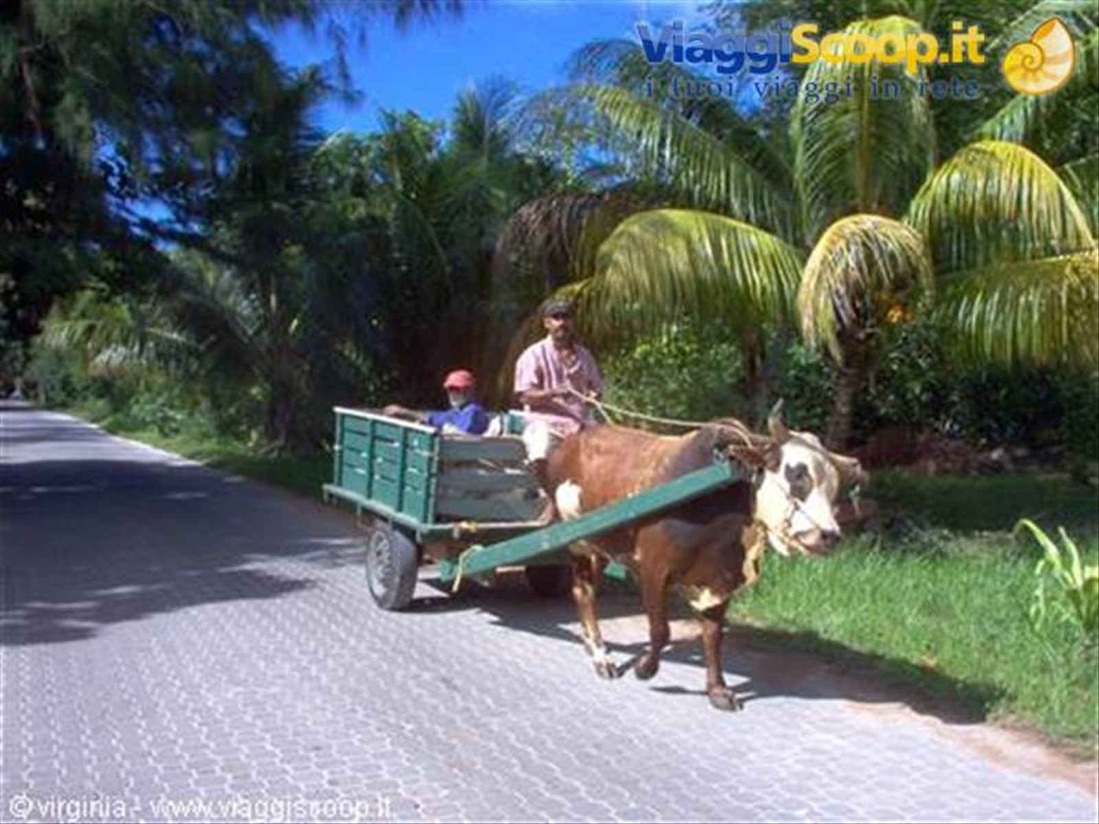 Foto di viaggio in SEYCHELLES