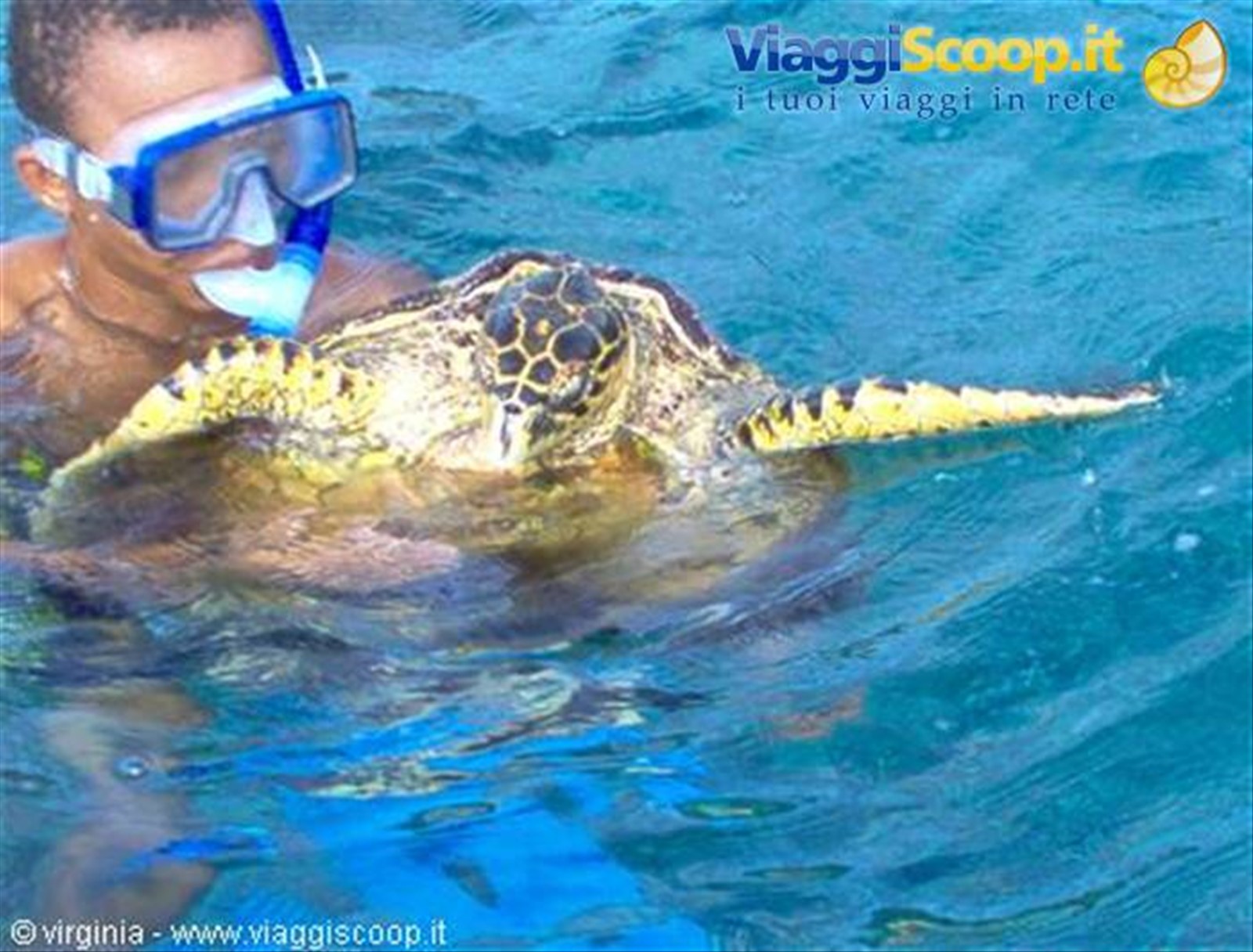Foto di viaggio in SEYCHELLES