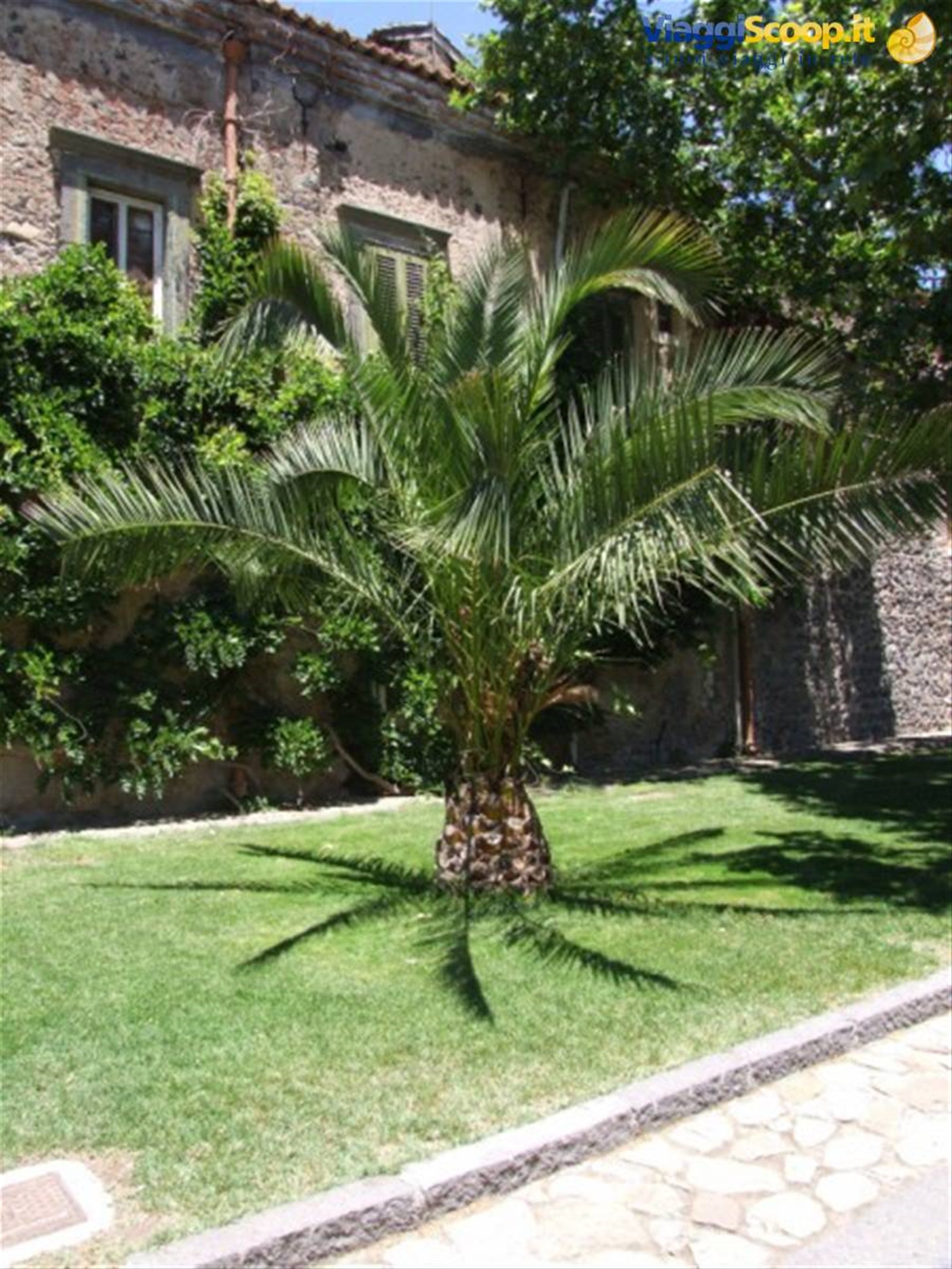 Castello Nelson