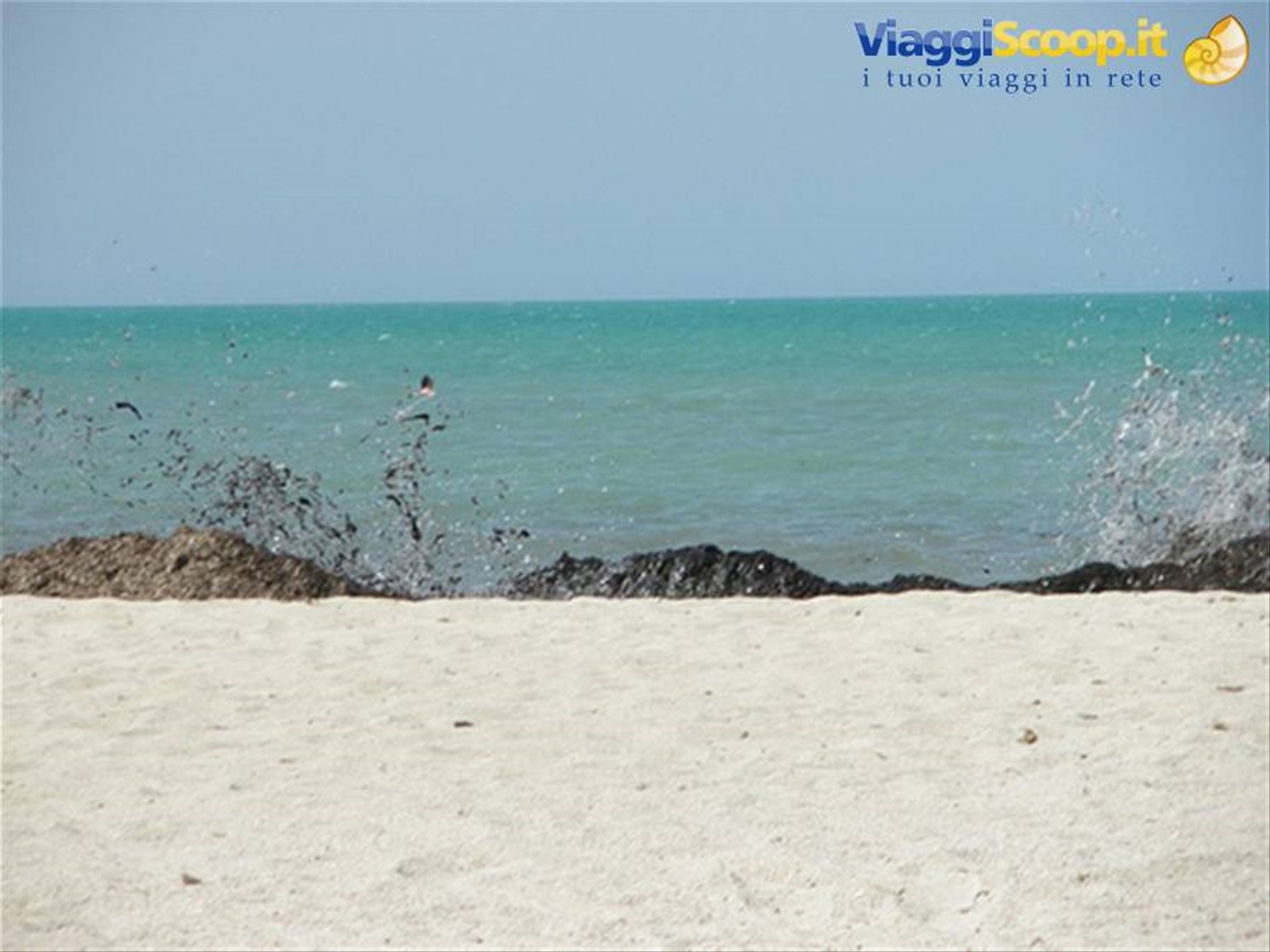 alghe a Djerba