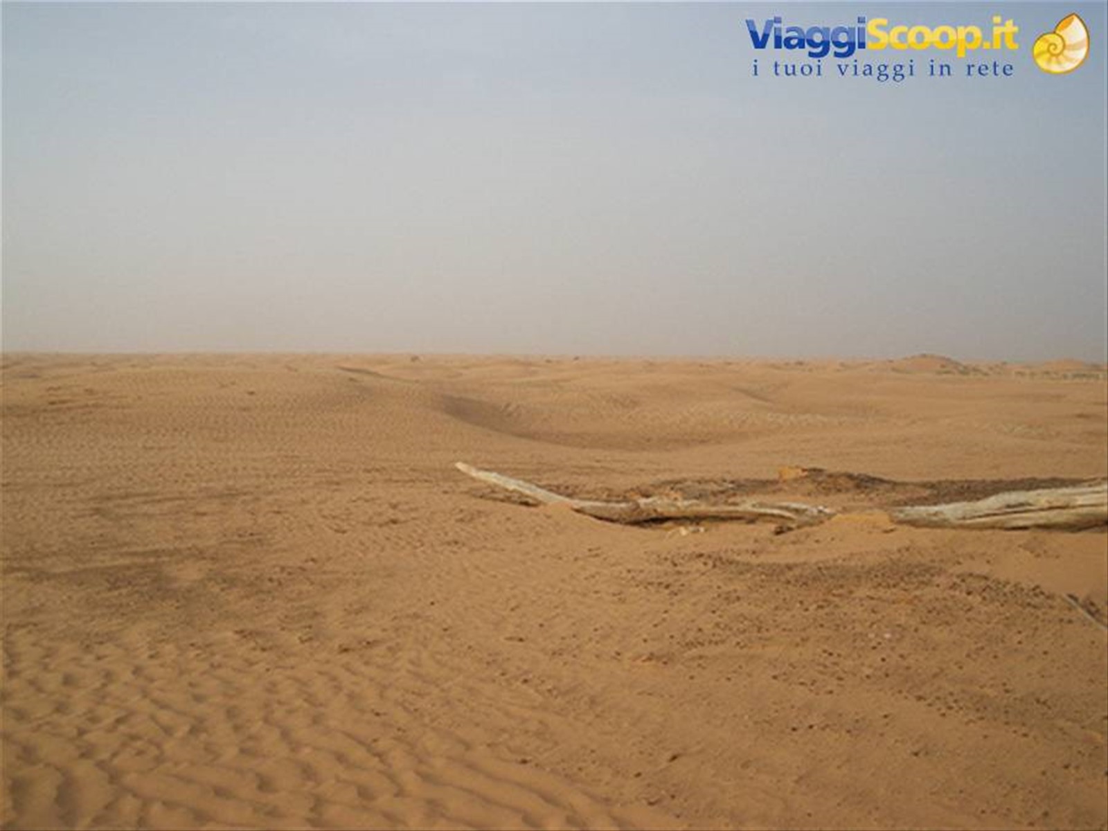 deserto
