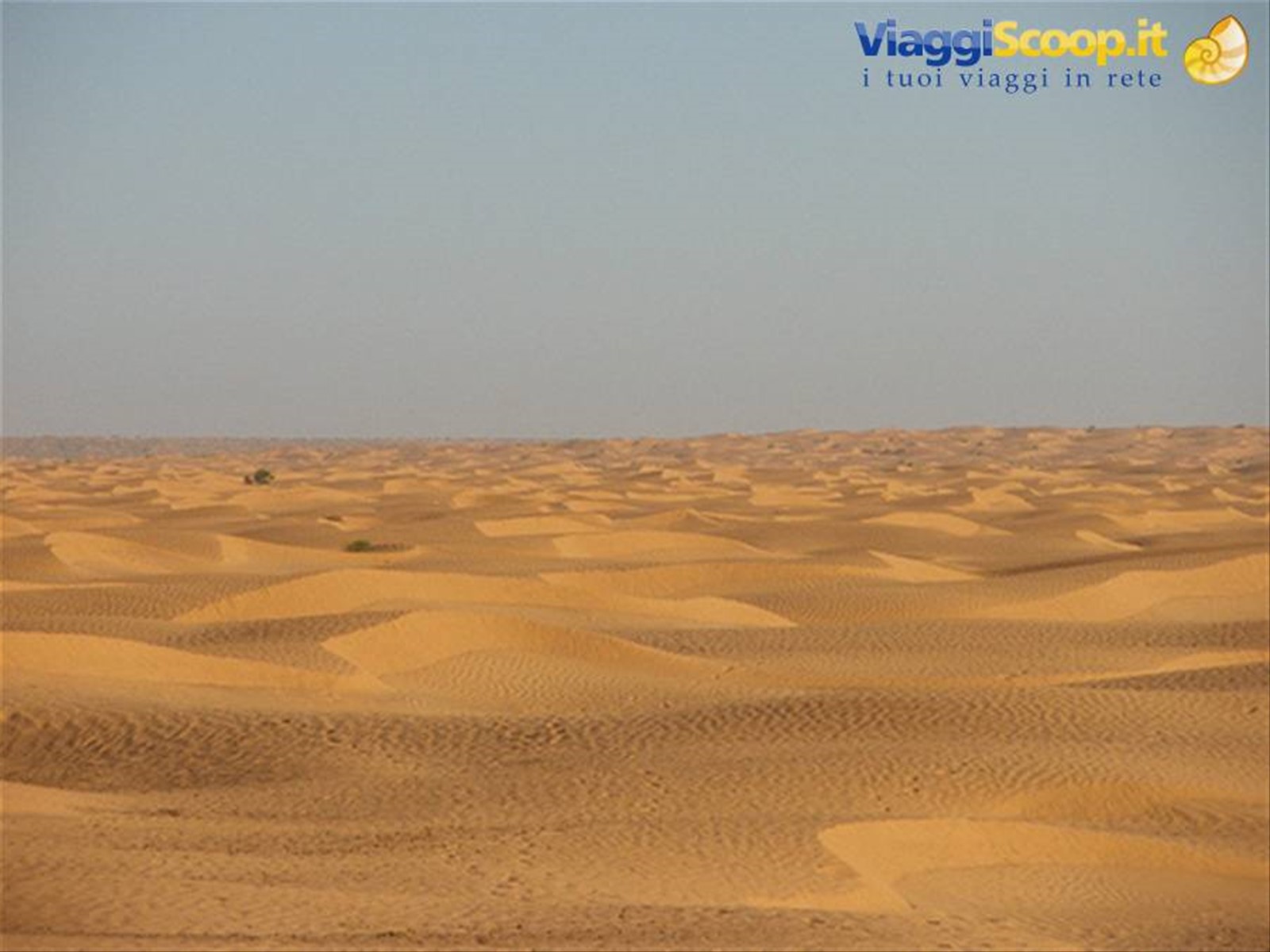 deserto