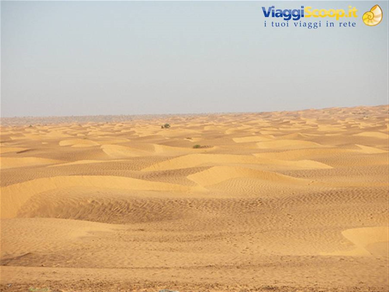 deserto