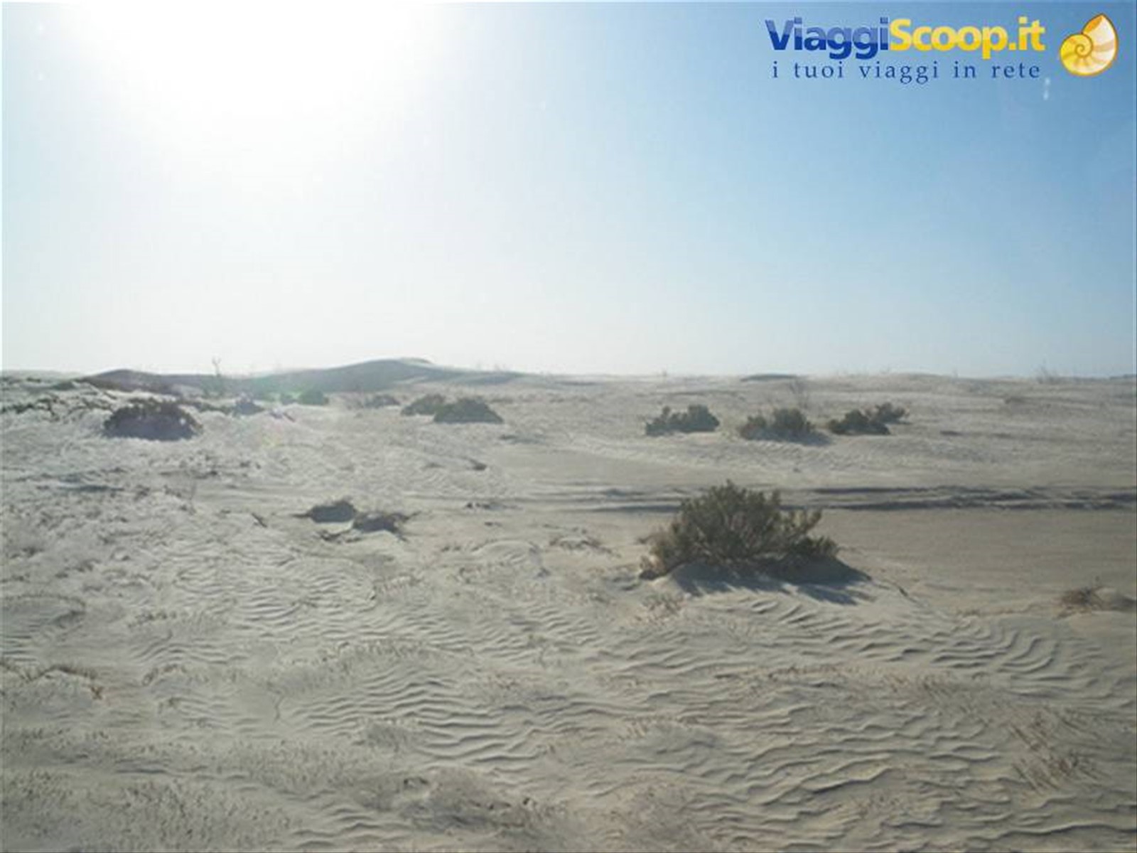 deserto