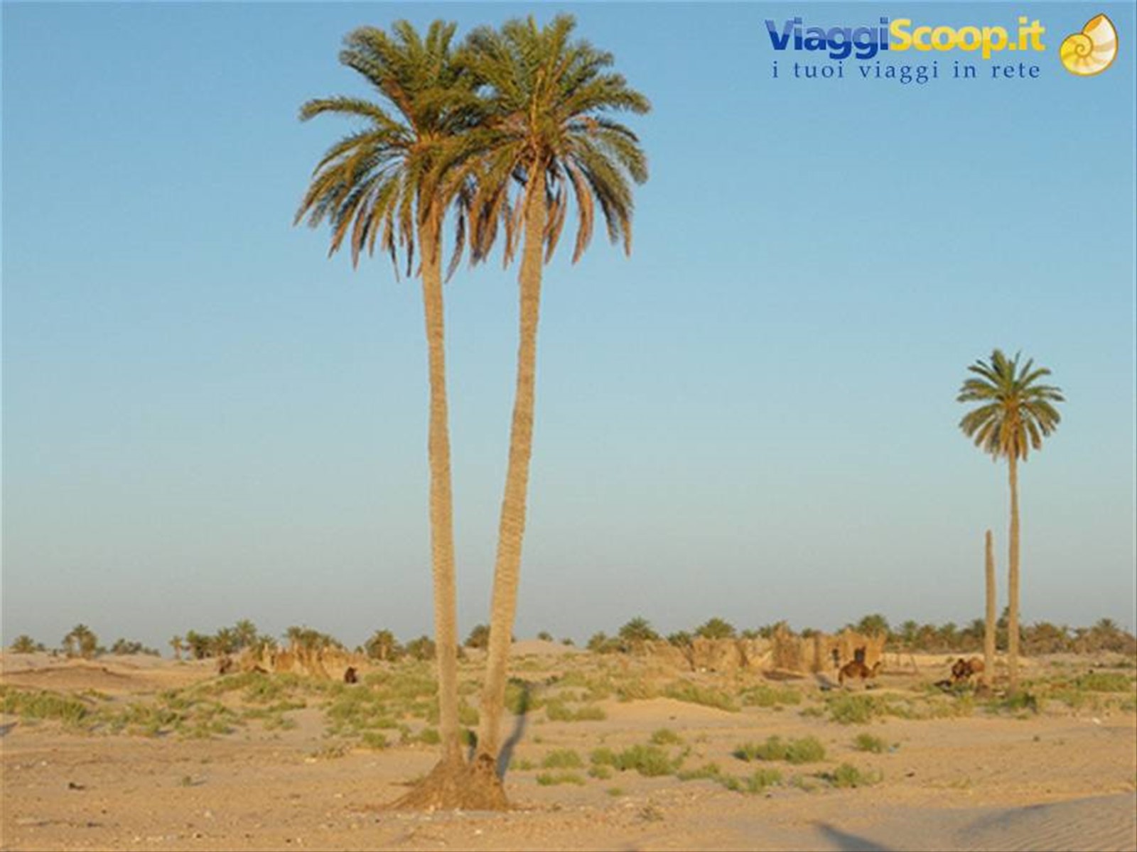 Foto di viaggio in TUNISIA