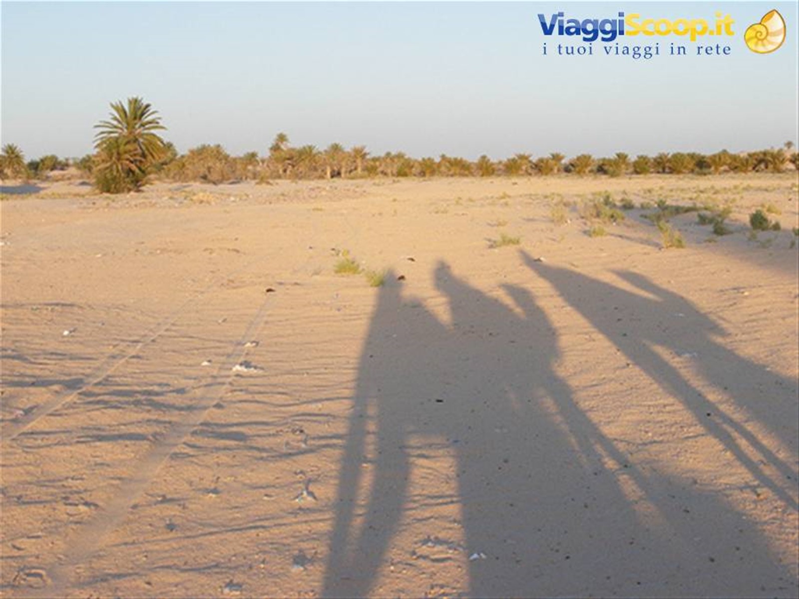 Foto di viaggio in TUNISIA