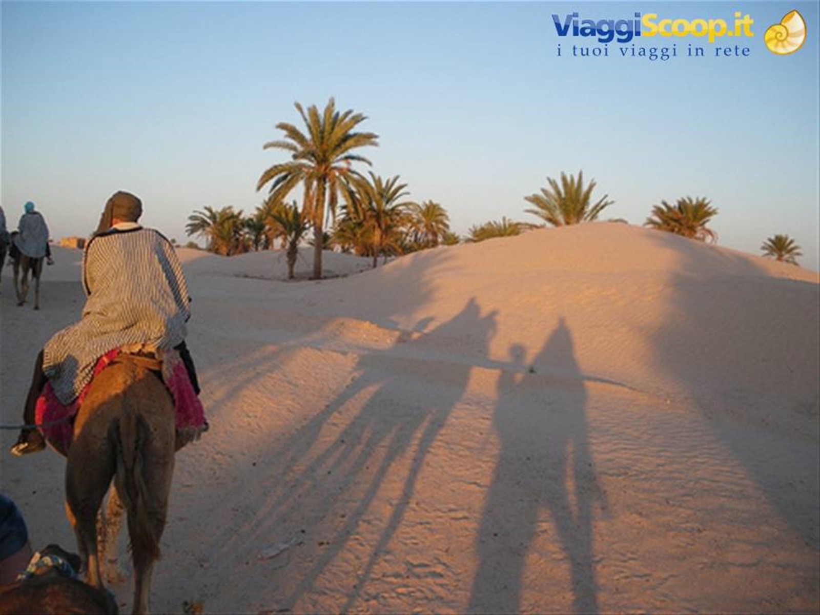 Foto di viaggio in TUNISIA