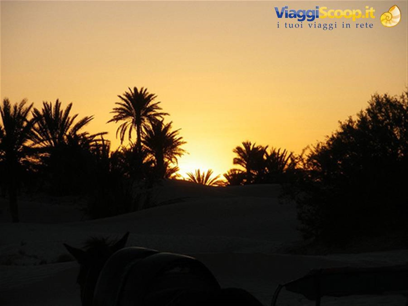 tramonto nel deserto