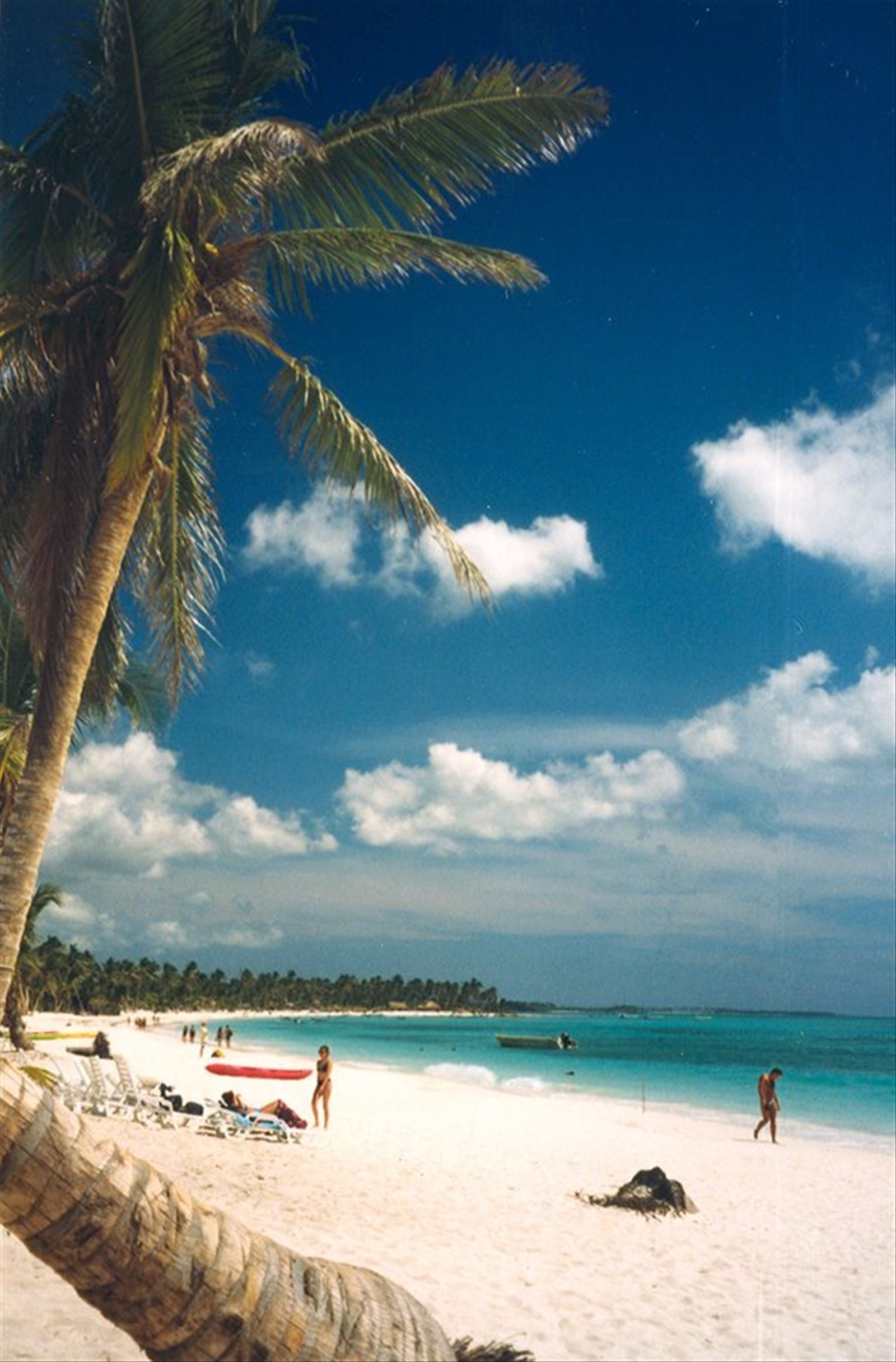 Saona