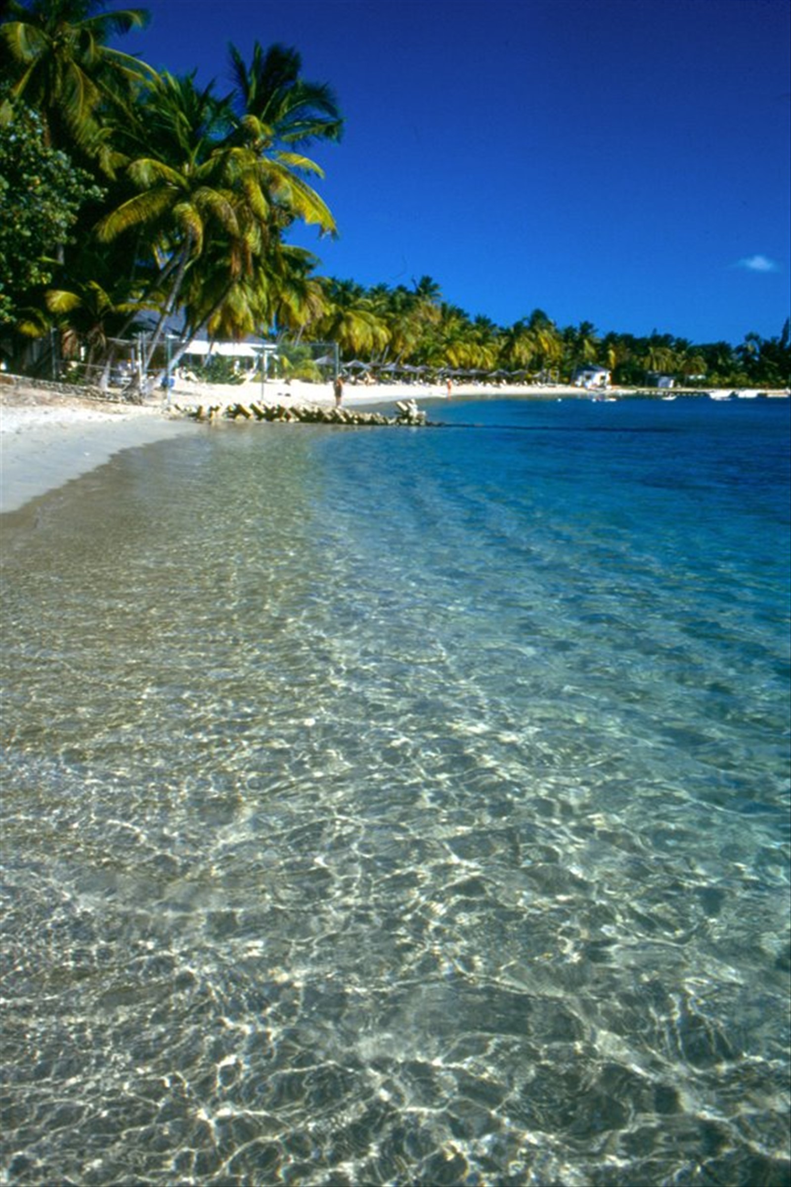 Carlisle Bay