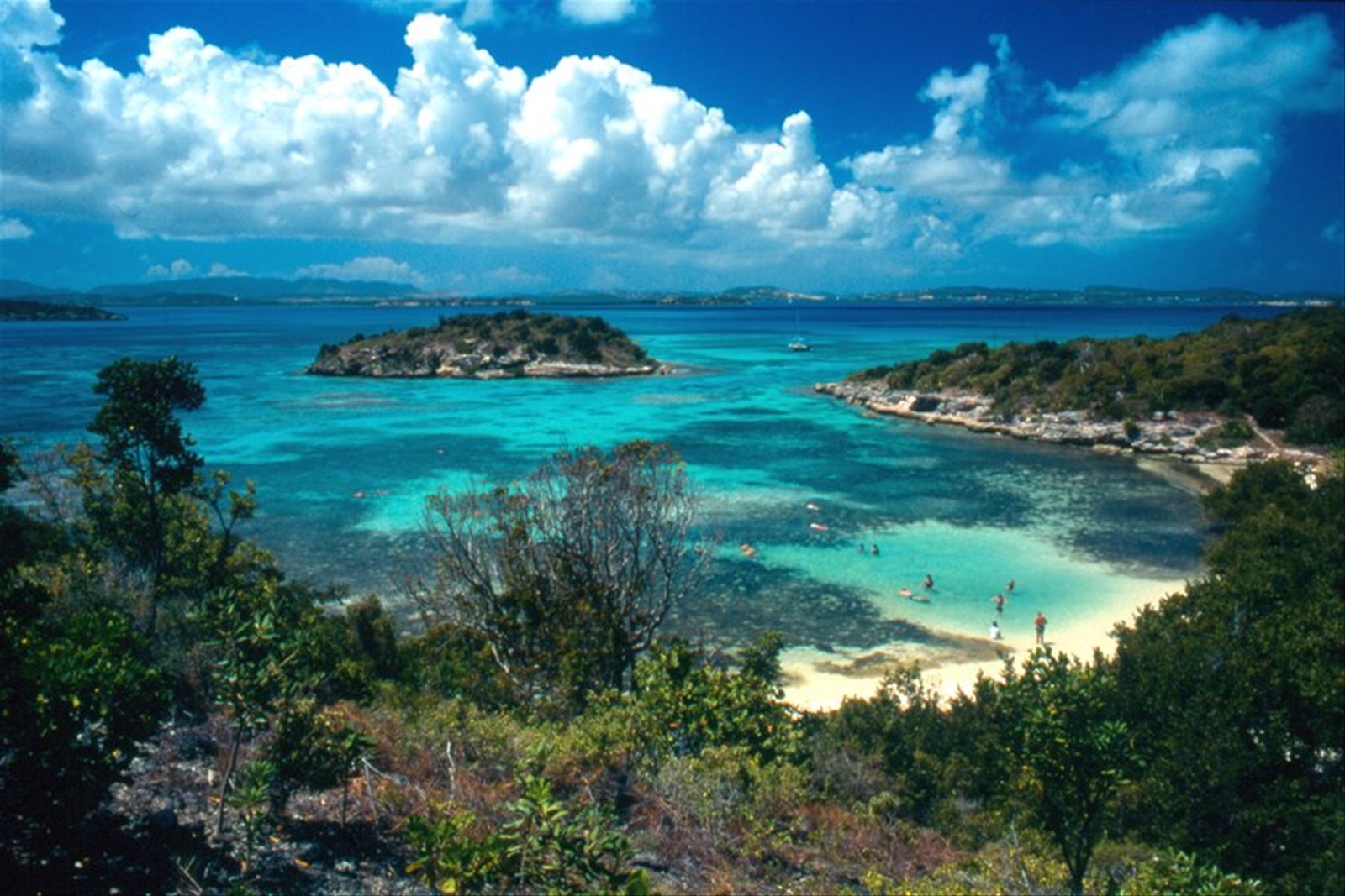 Bird Island