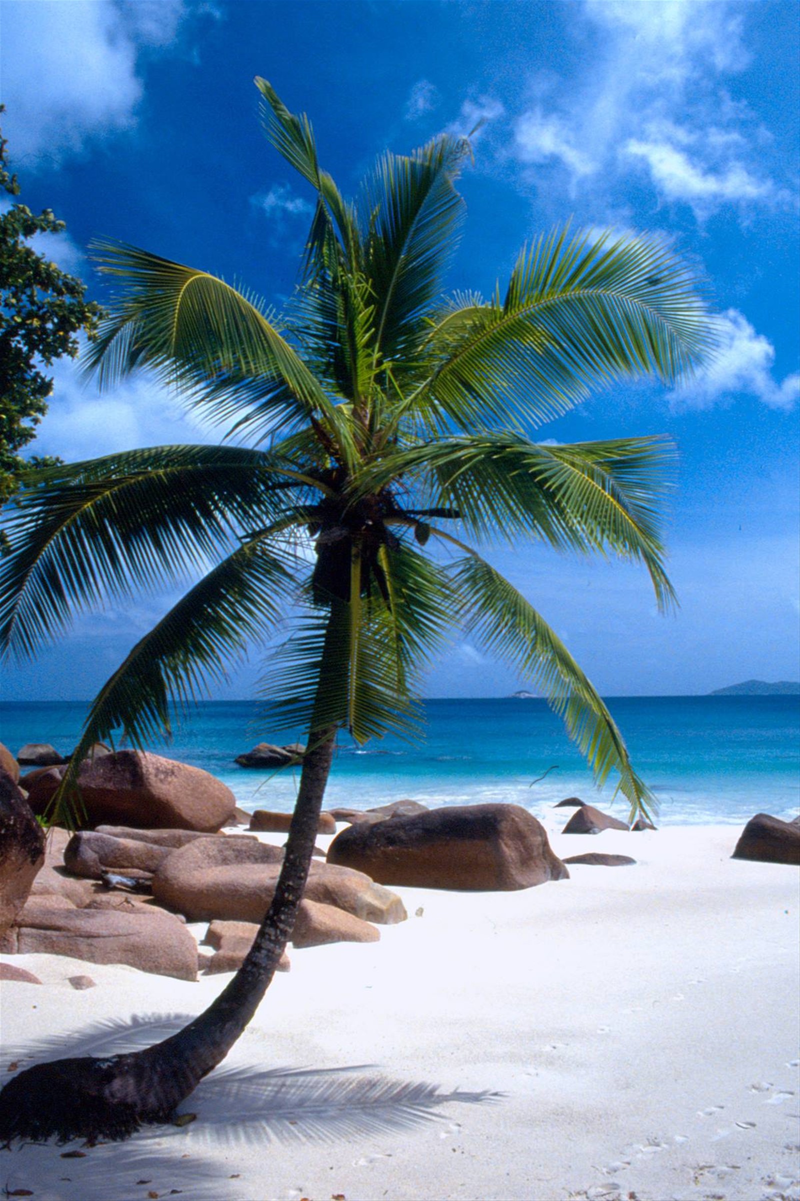 Anse Lazio