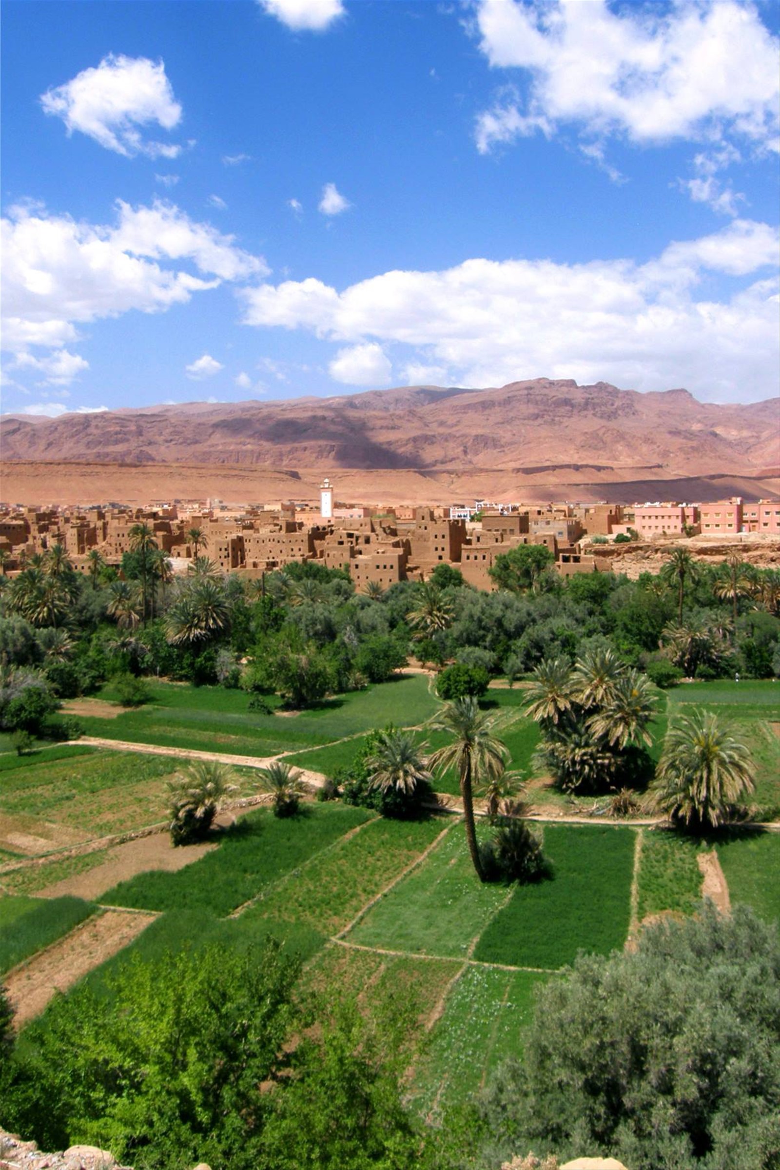 Oasi di Tinghir