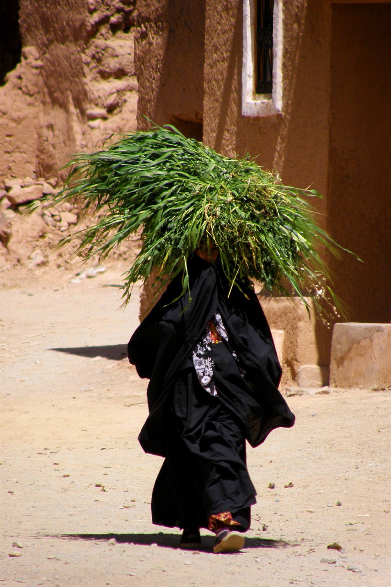 Valle del Draa - Kasbah Timiderte