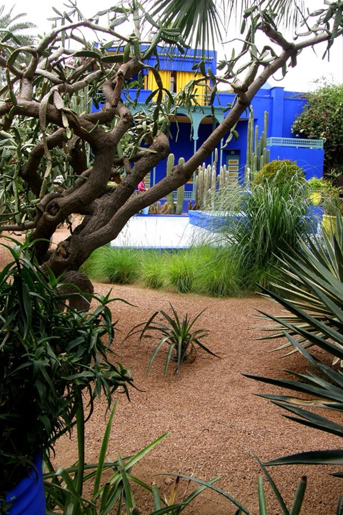 Marrakech - Giardini Majorelle