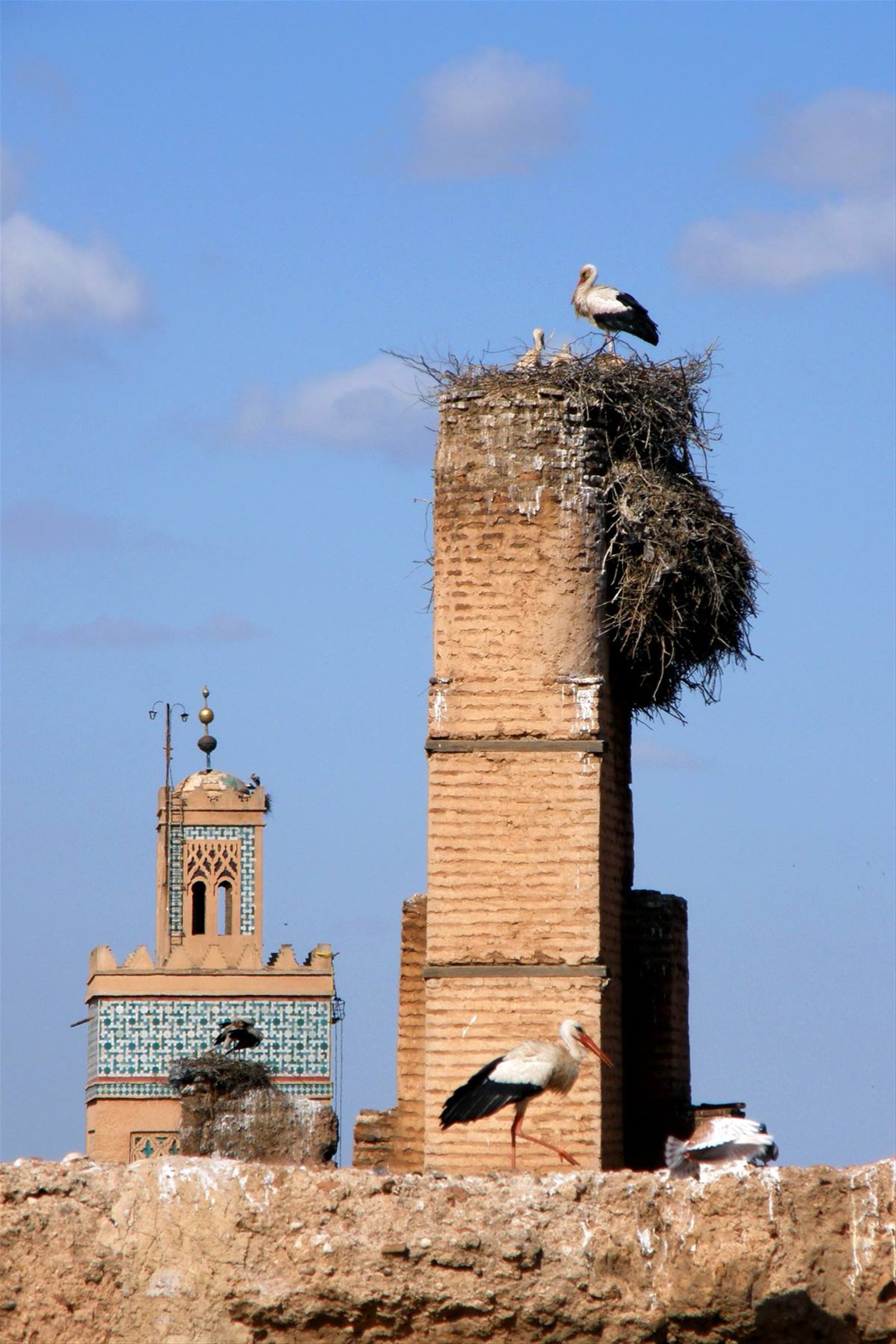 Marrakech - Palais el-Badi