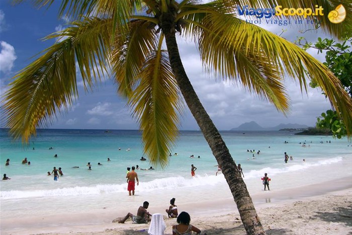 Anse Figuier
