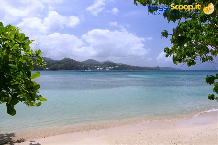 Anse des Raisiniers