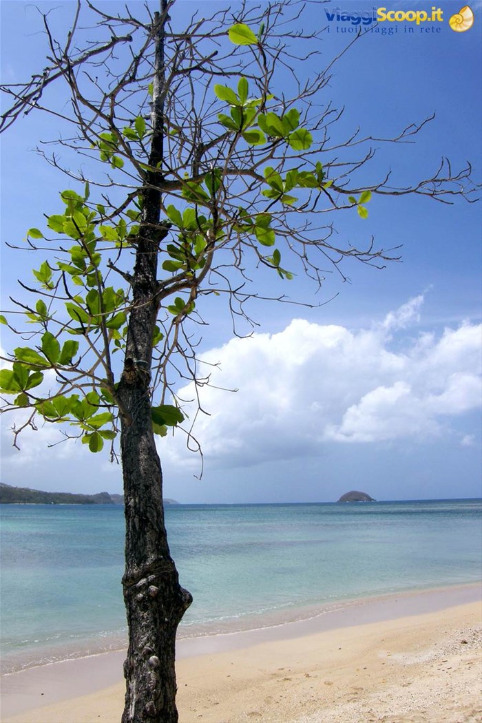 Anse des Raisiniers