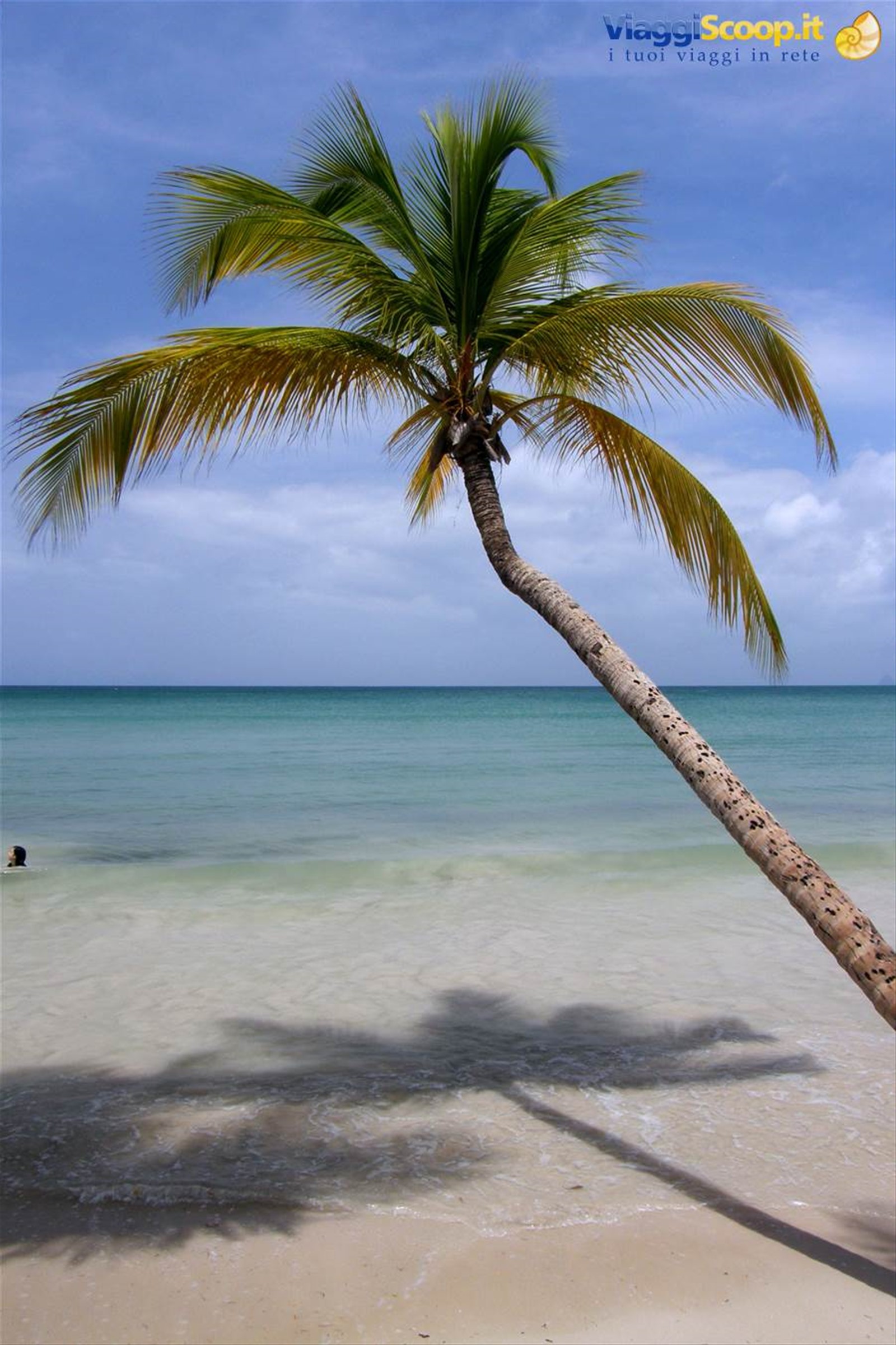Grande Anse des Salines