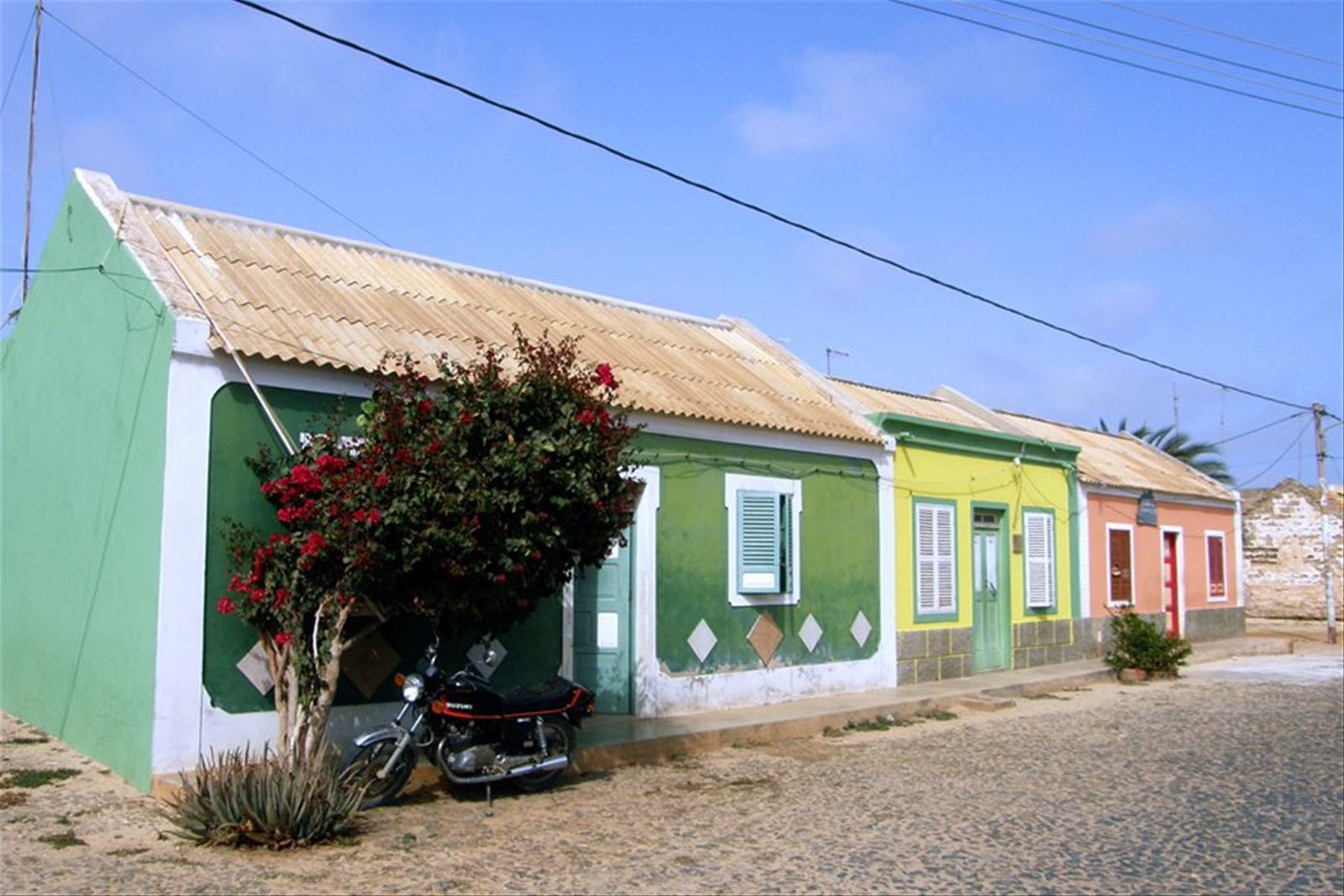 Joao Galego