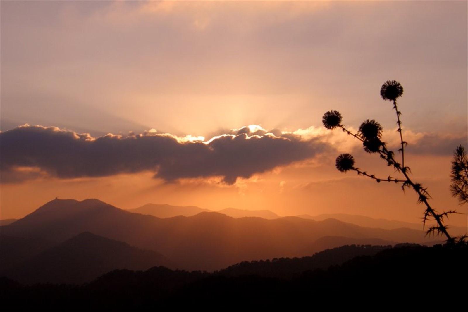 Monti Troodos - Tramonto