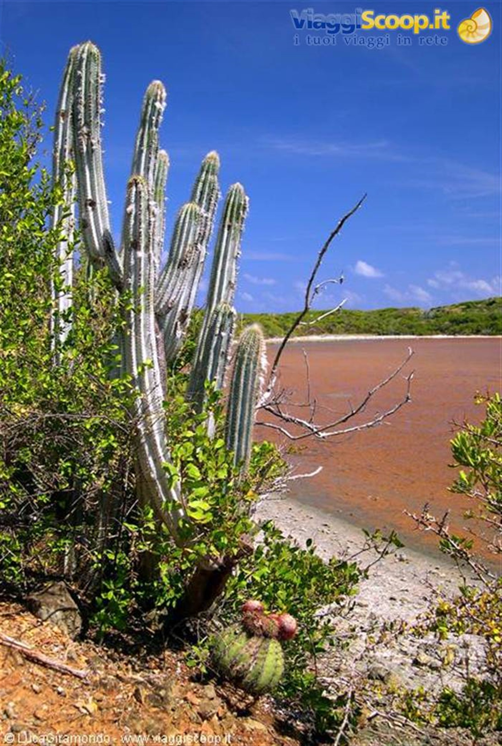 Salt Pond