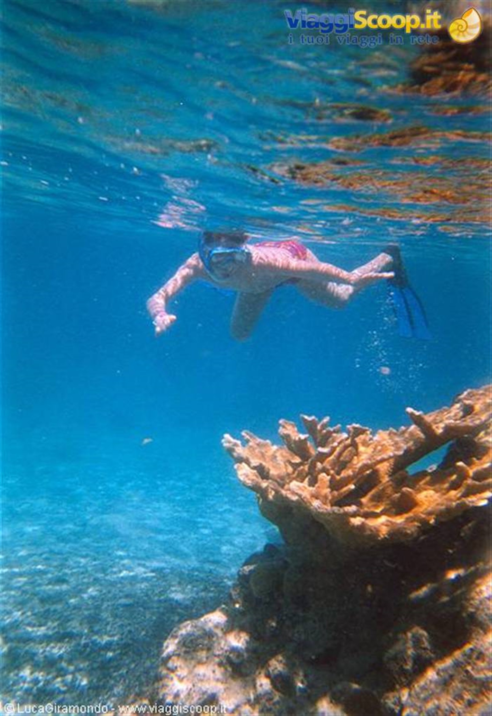 Il fondale di Coki Beach