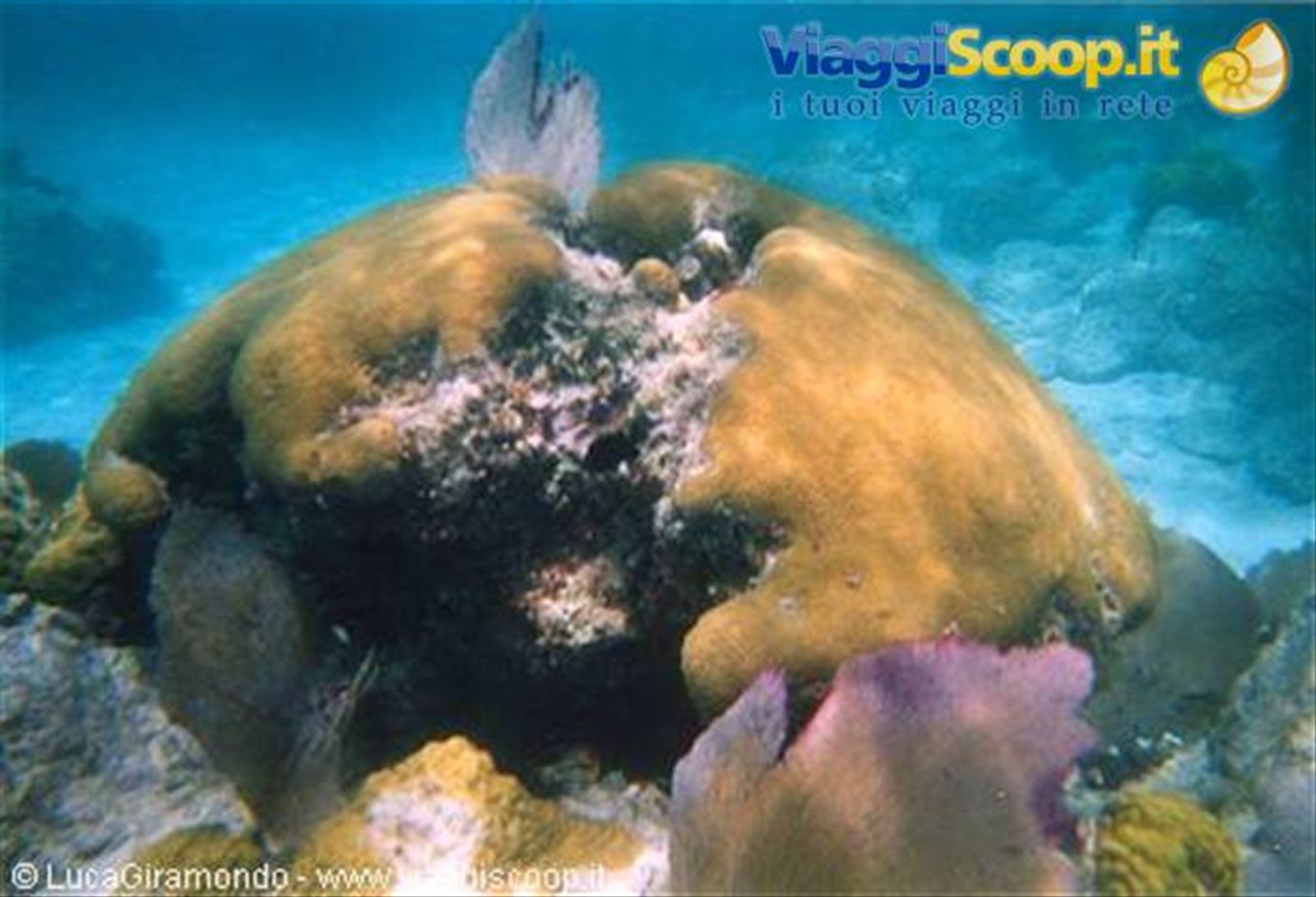 Il fondale di Trunk Bay
