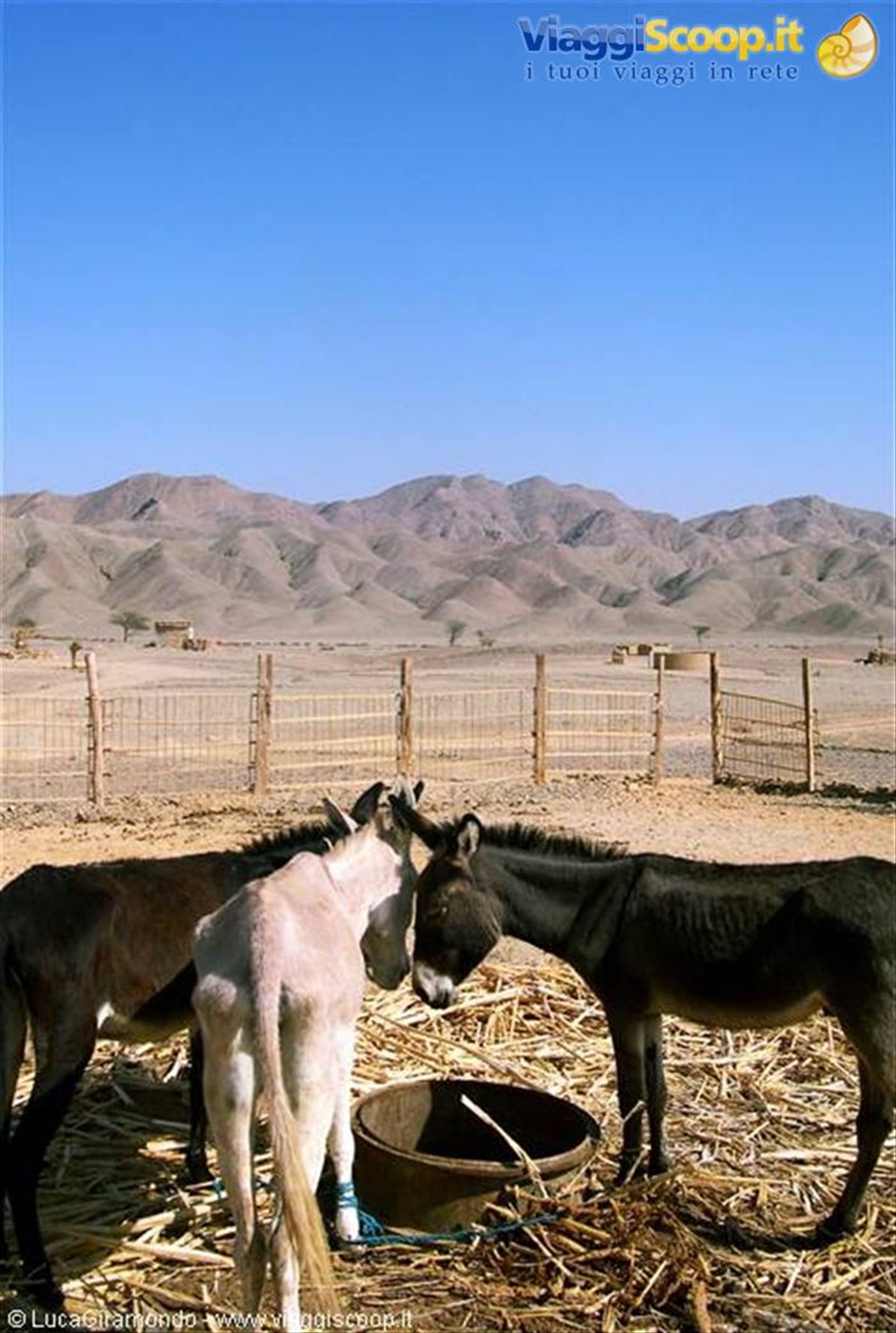 Deserto Orientale