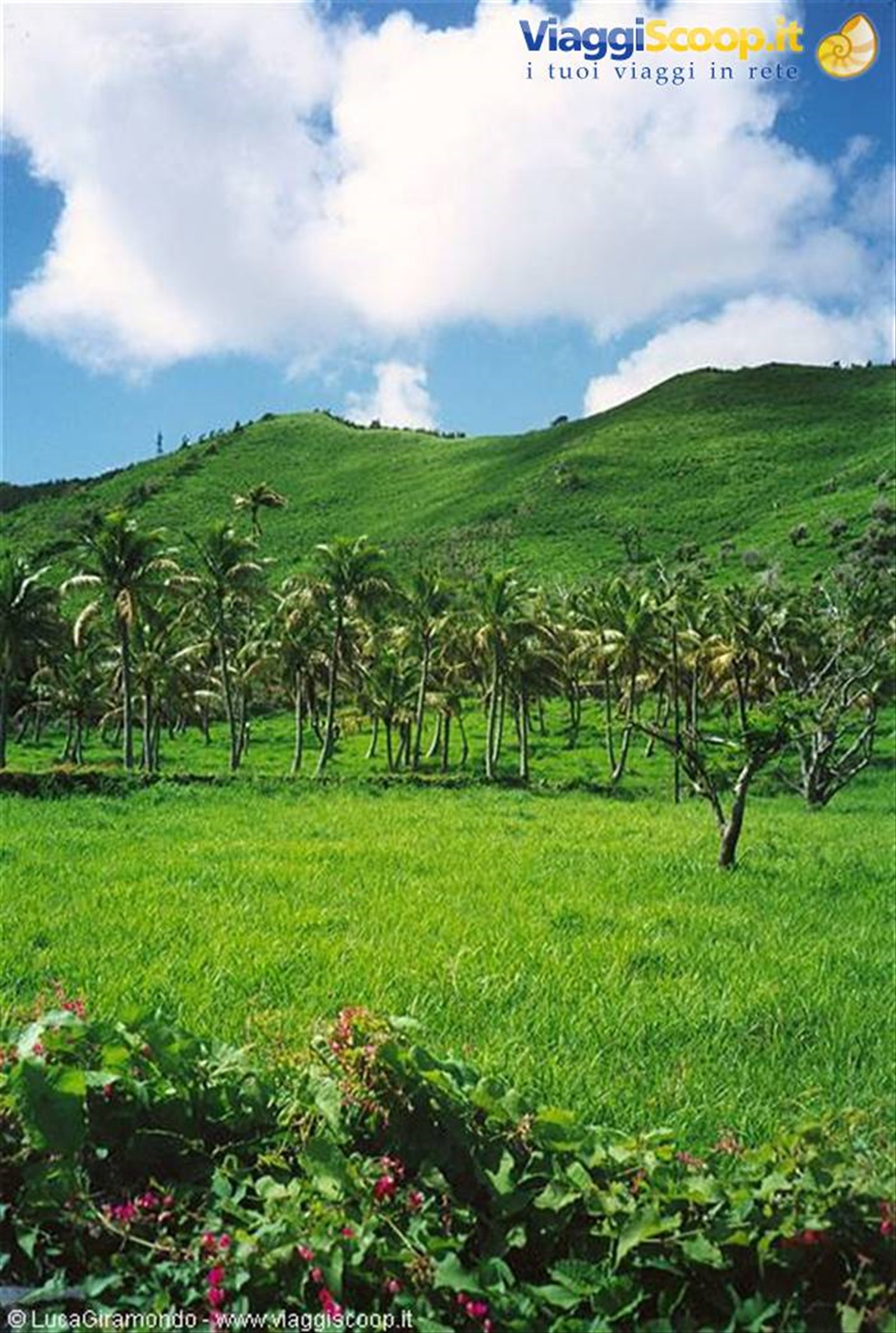 St. Martin - Colombiere