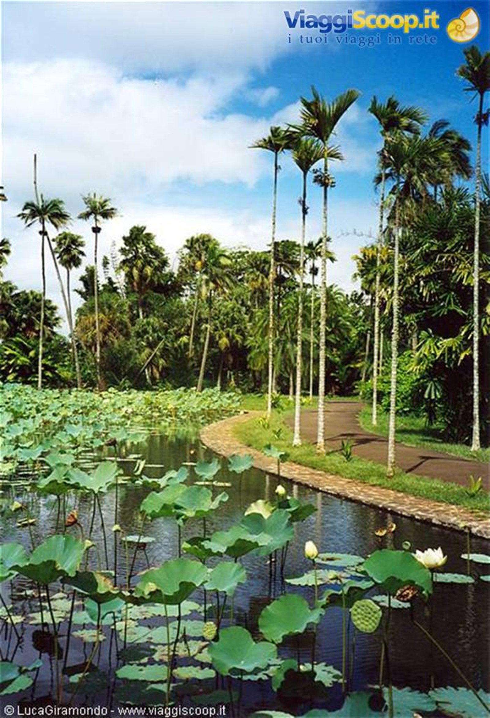 Giardini di Pamplemousses