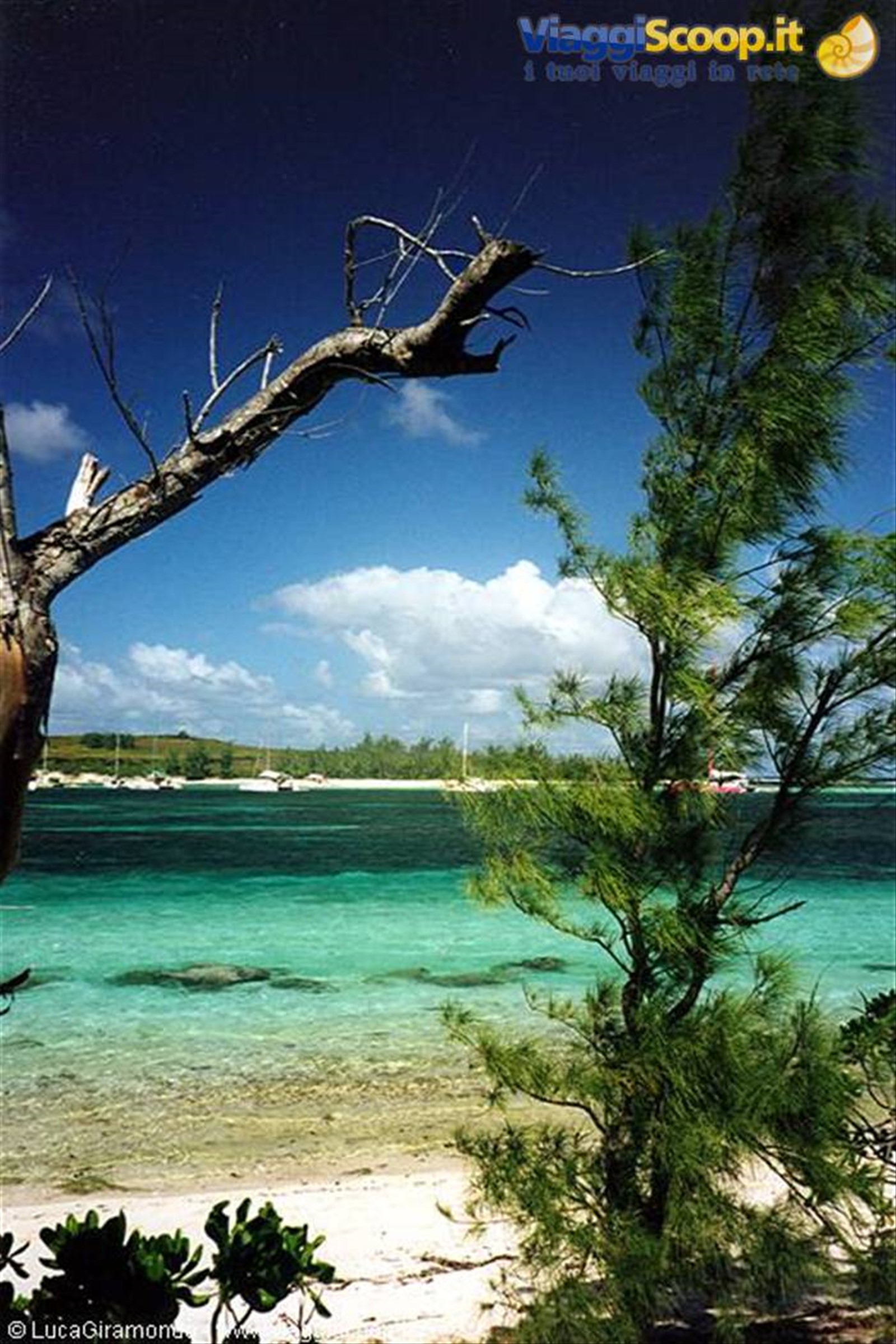 l'Ile Plat