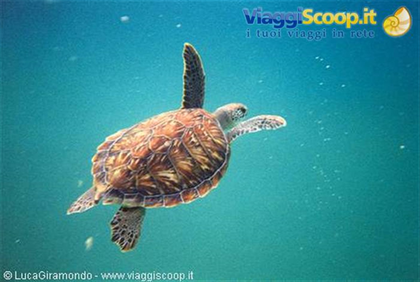 Xel-Ha